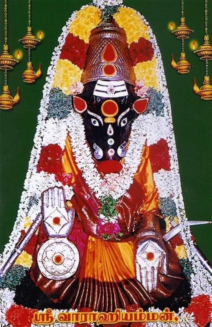 720x1109 Thanjavur Big Temple Varahi Amman Dharshan. Varahi amman image hd, Thanjavur varahi amman image, Varahi devi