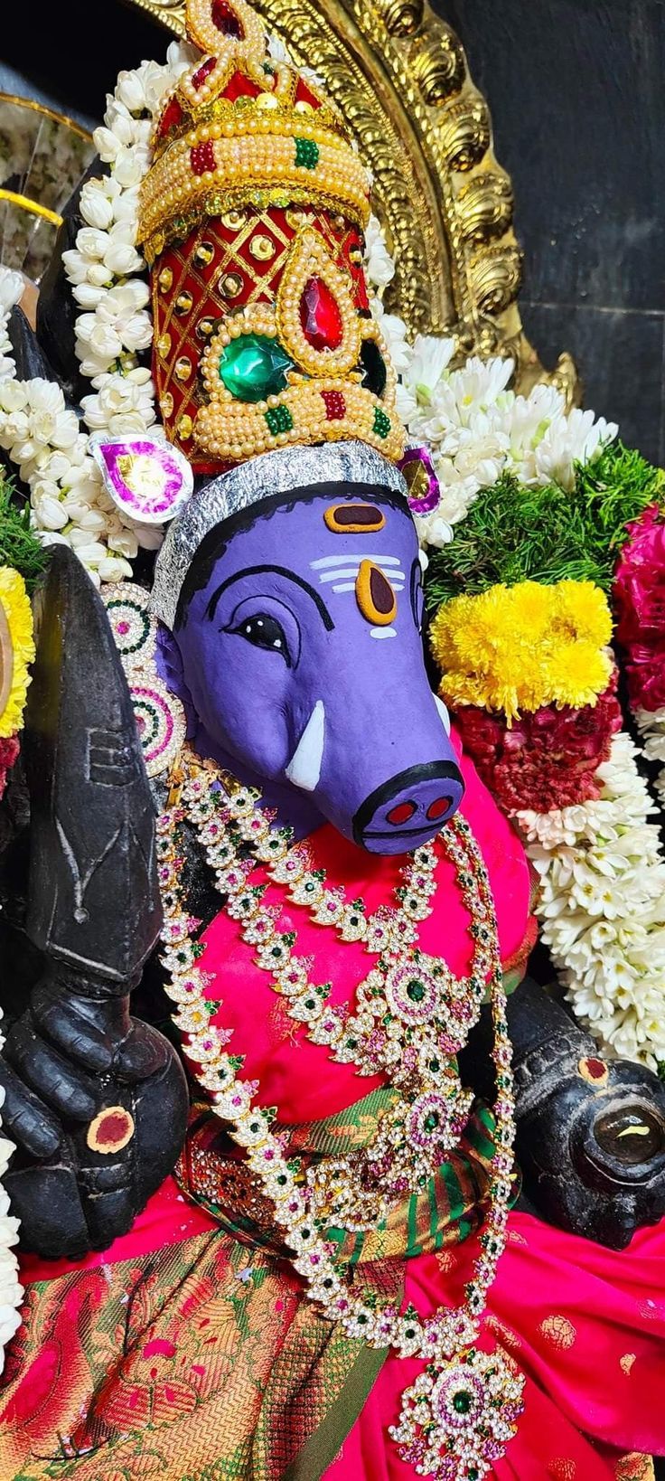 736x1638 Varahi devi HD image wallpaper. Varahi devi photo, Hindu gods, Varahi temple
