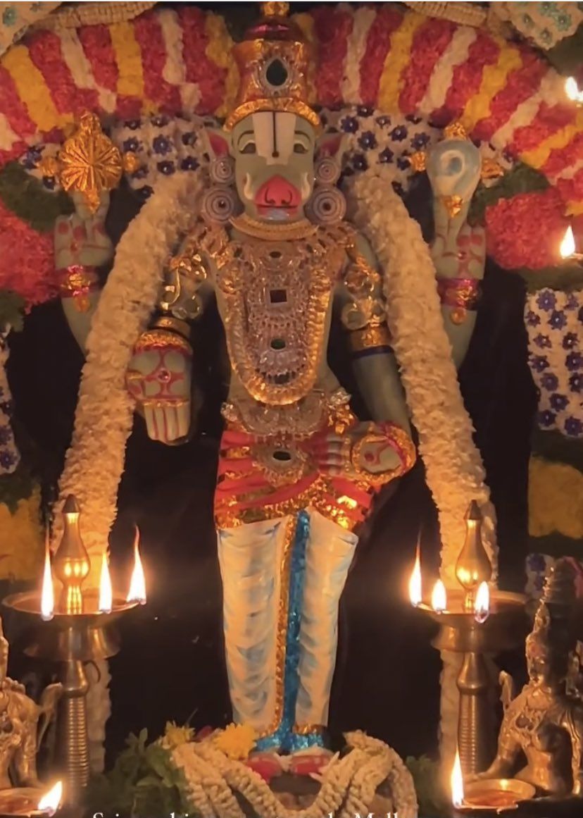 828x1161 The Fierce Varahi Amman It's believed that praying to her improves health