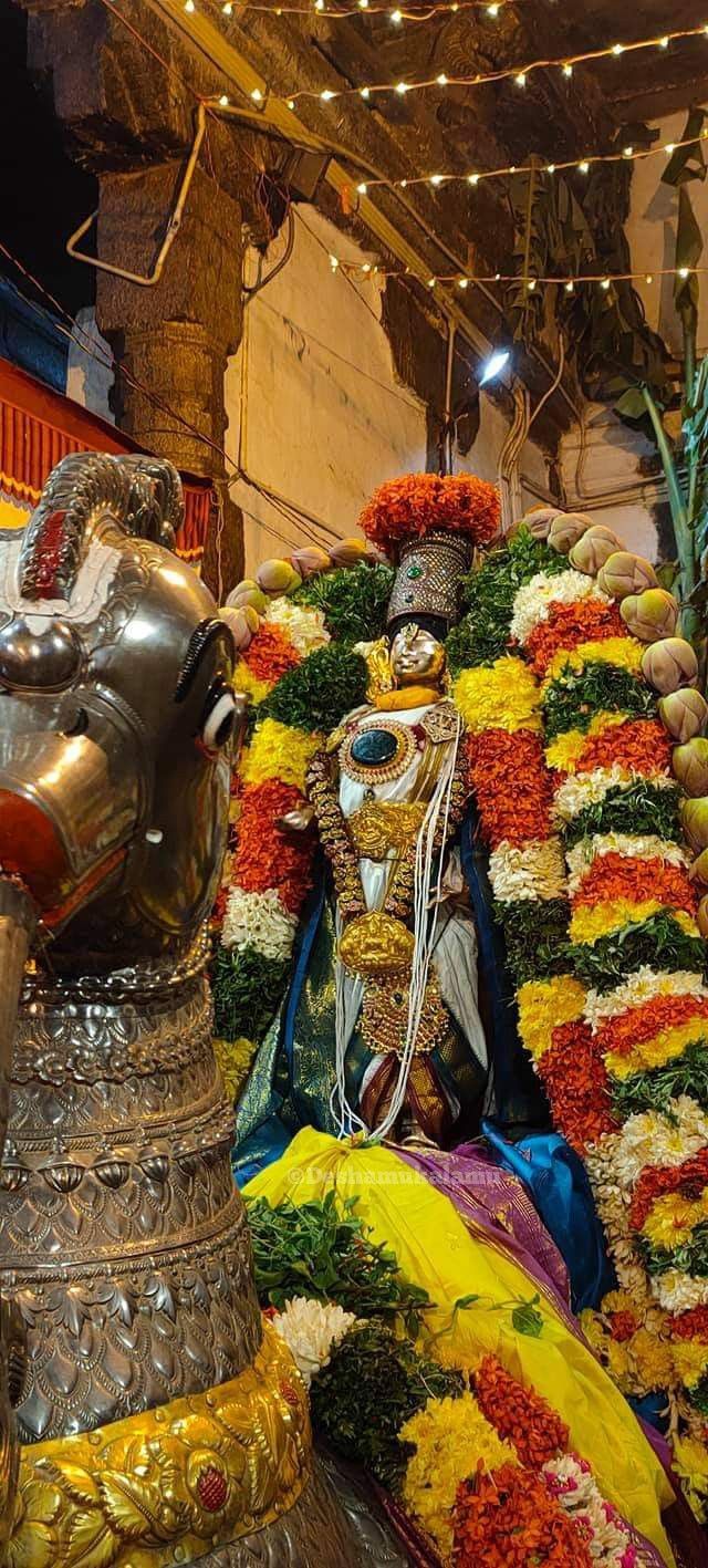 640x1417 Thirumaliruncholai alagar perumal