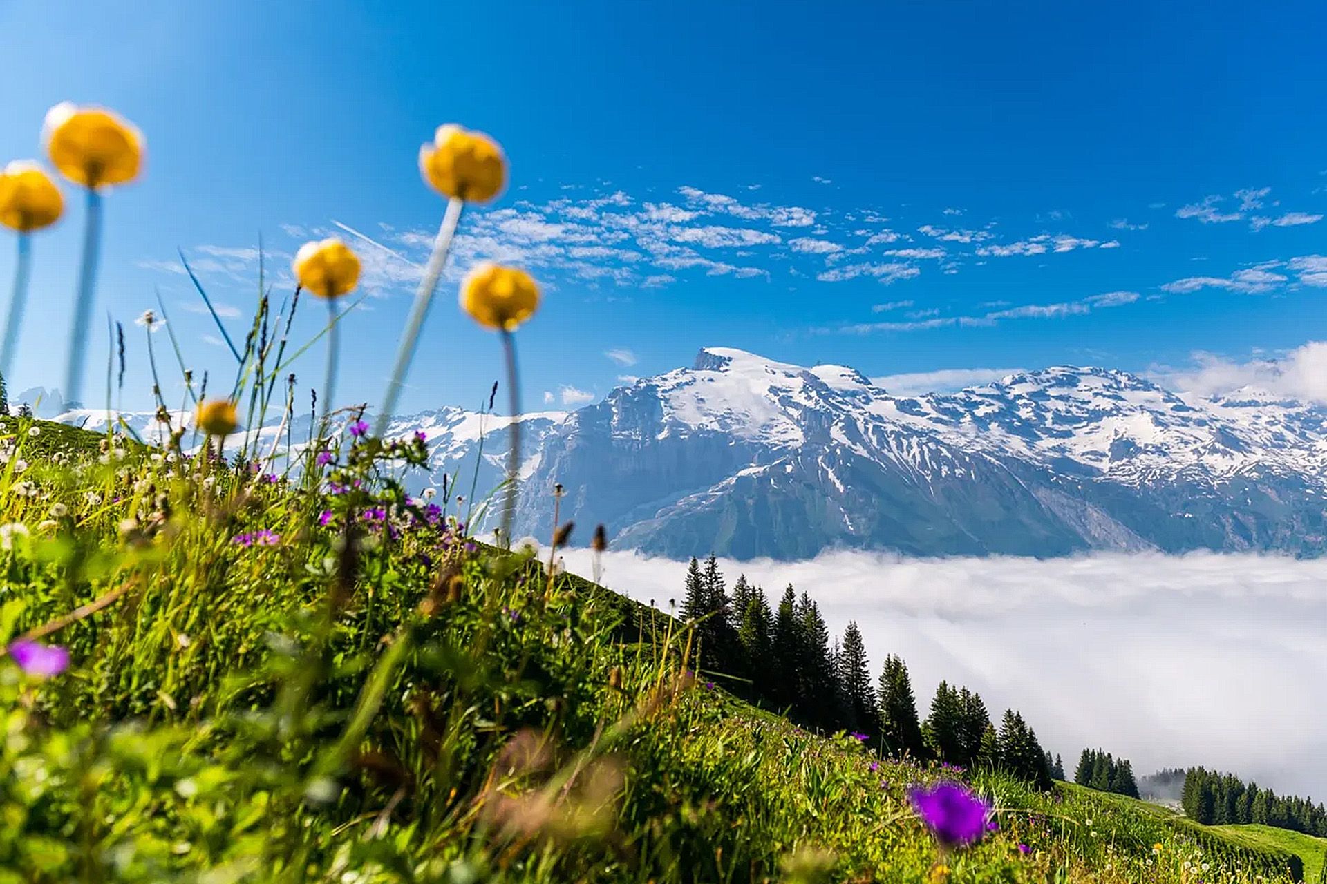 1920x1280 Get Ticket Engelberg: Mount Titlis Cable Car Ticket Promo Prices