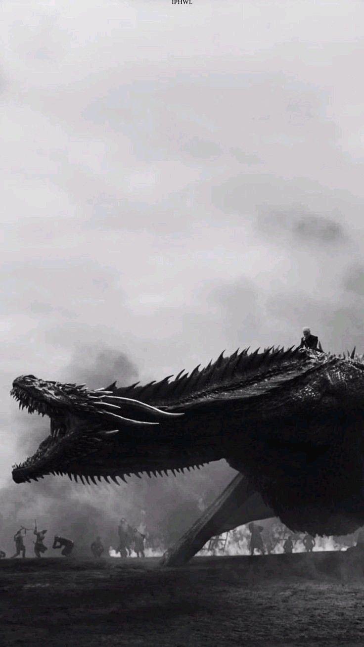 736x1308 House of Dragons Black Wallpaper // House of Dragons Season 2 Episode 5 Dark wallpaper