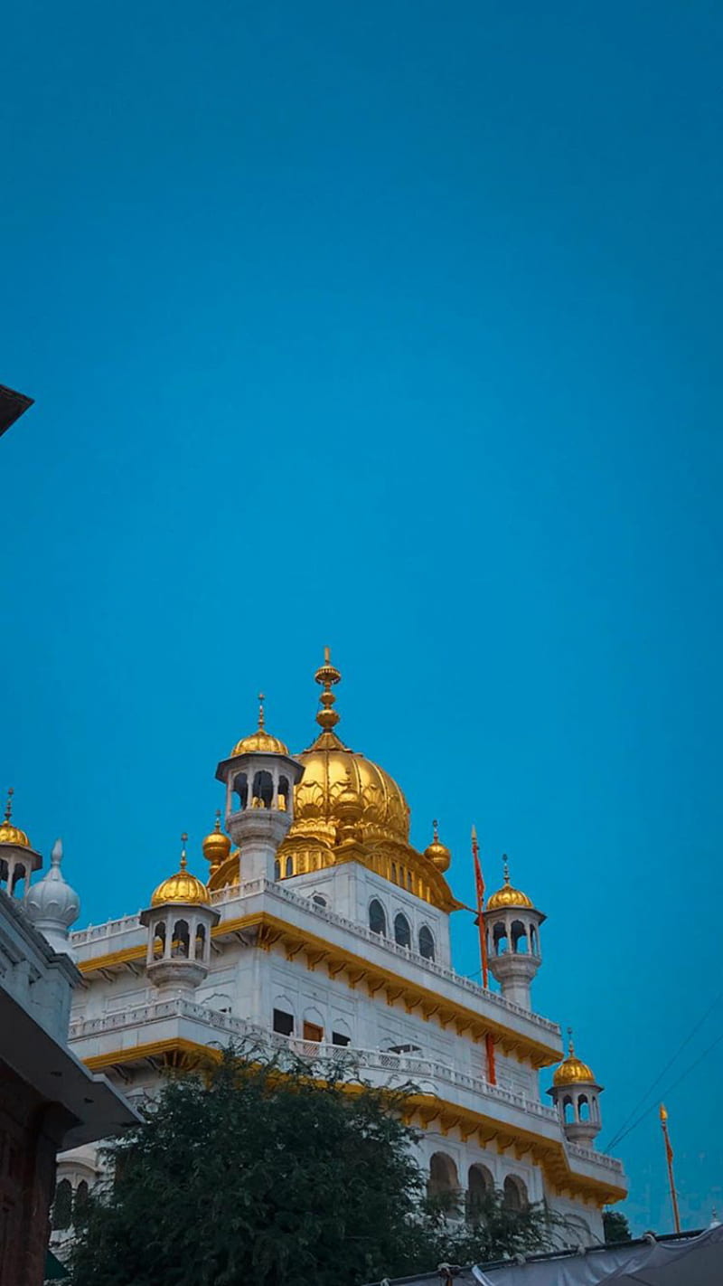 800x1422 Sikh gurudwara, sardar, punjab, HD phone wallpaper
