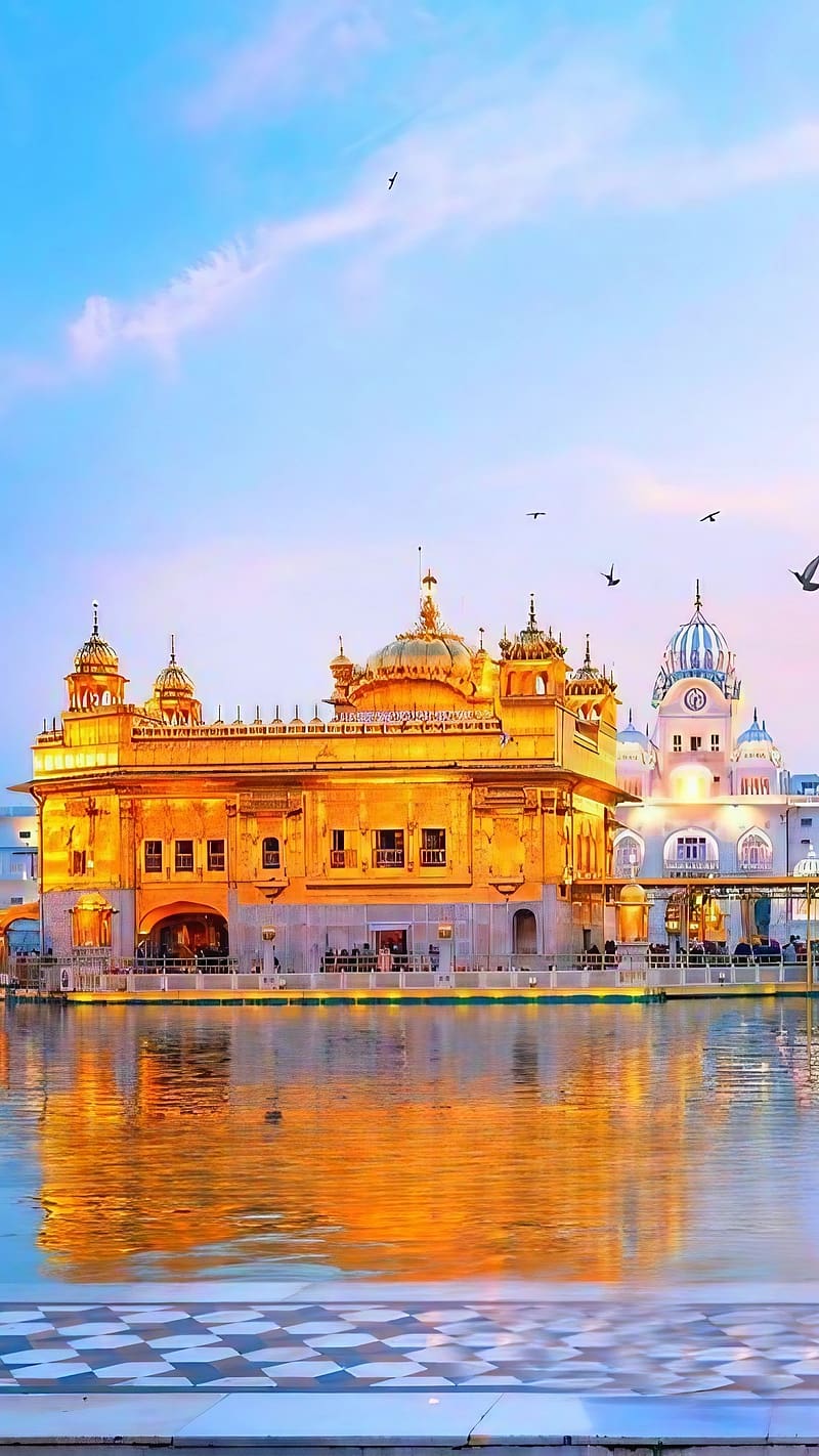 800x1422 HD gurdwara wallpaper