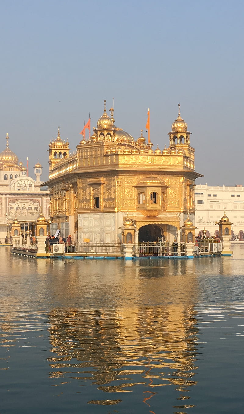 800x1360 HD golden temple wallpaper