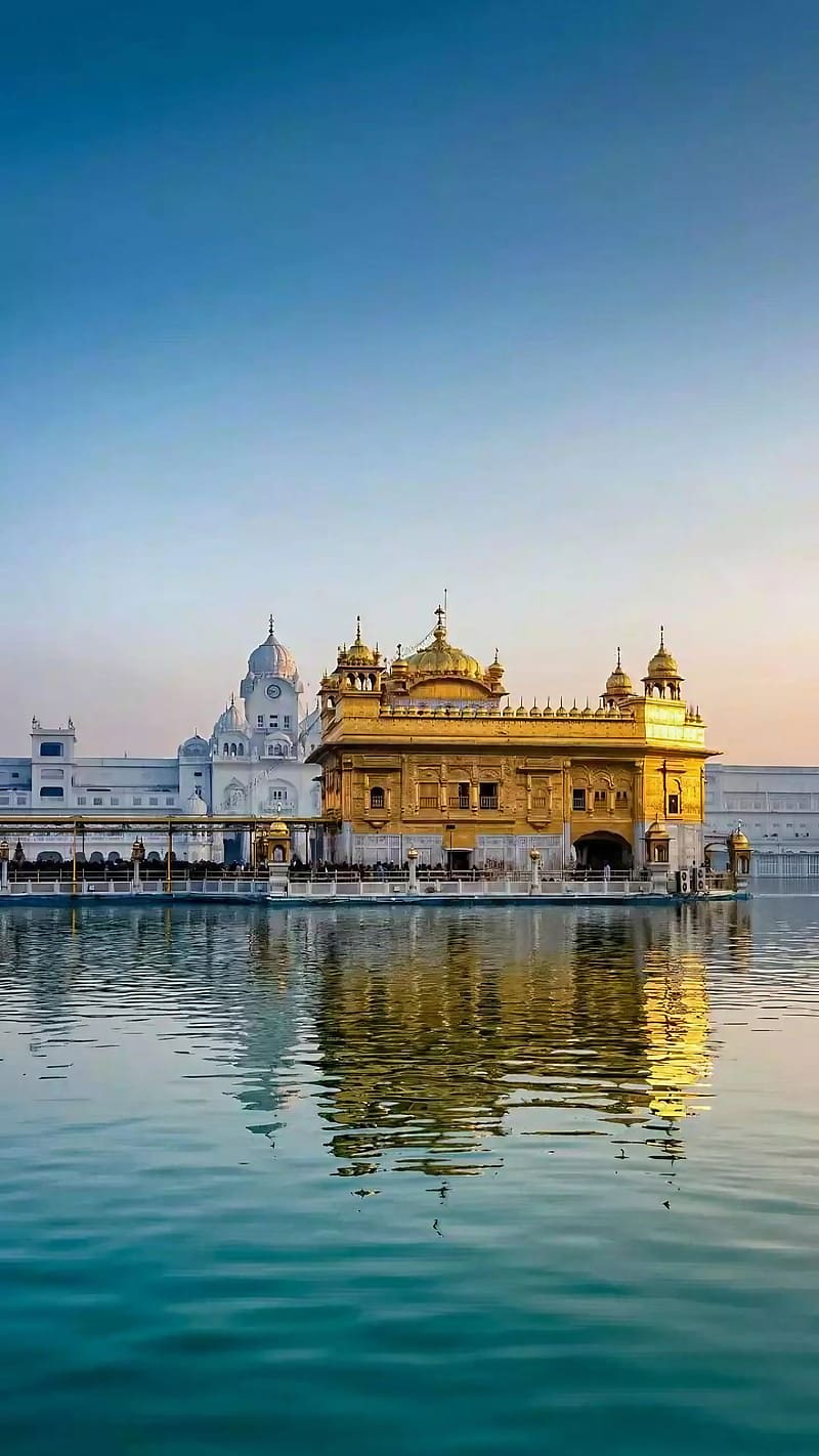 800x1422 Golden Temple, Between The Water, golden temple between the water, pilgrim, gurdwara, HD phone wallpaper