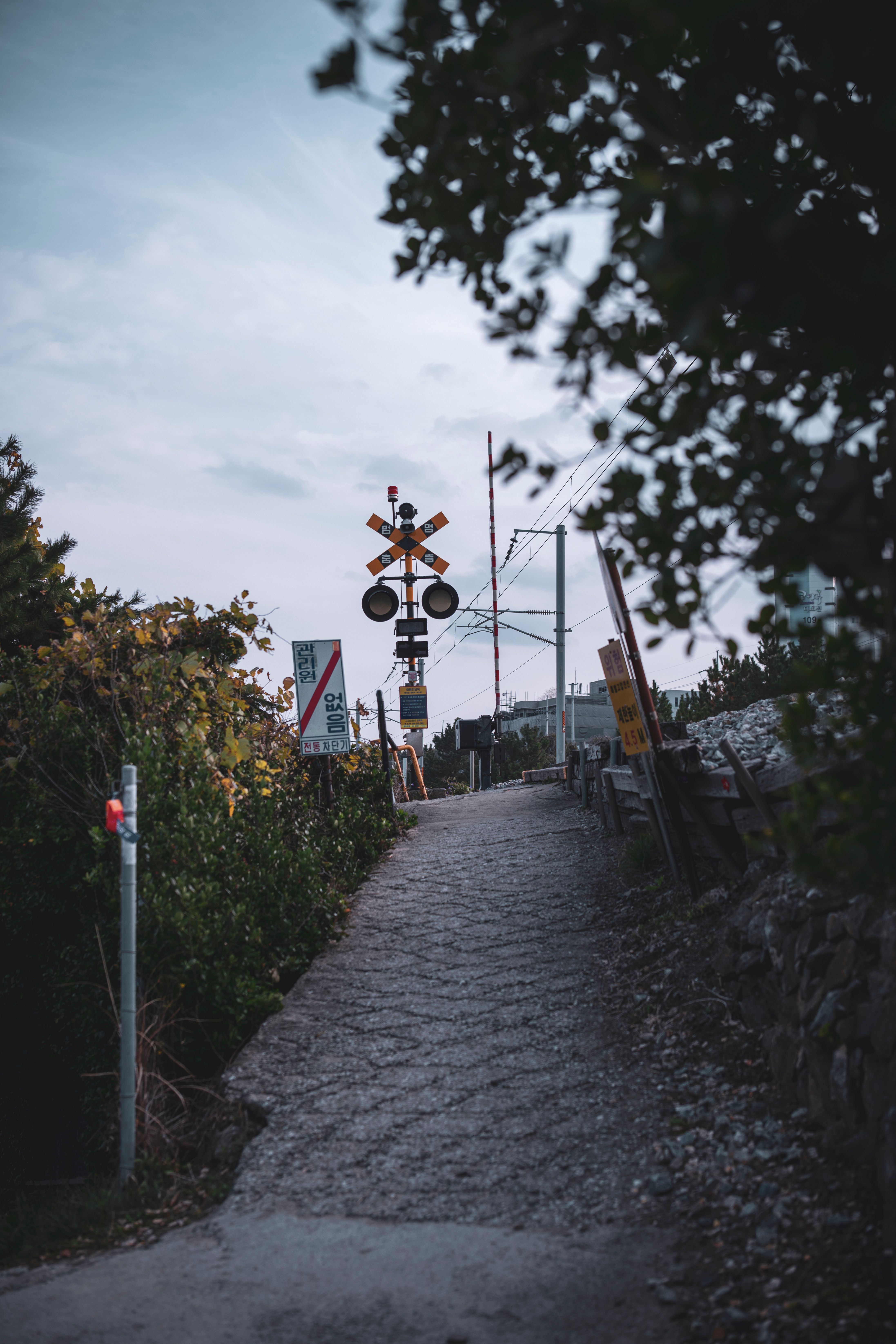 4388x6582 Road Leading to a Railway Crossing · Free