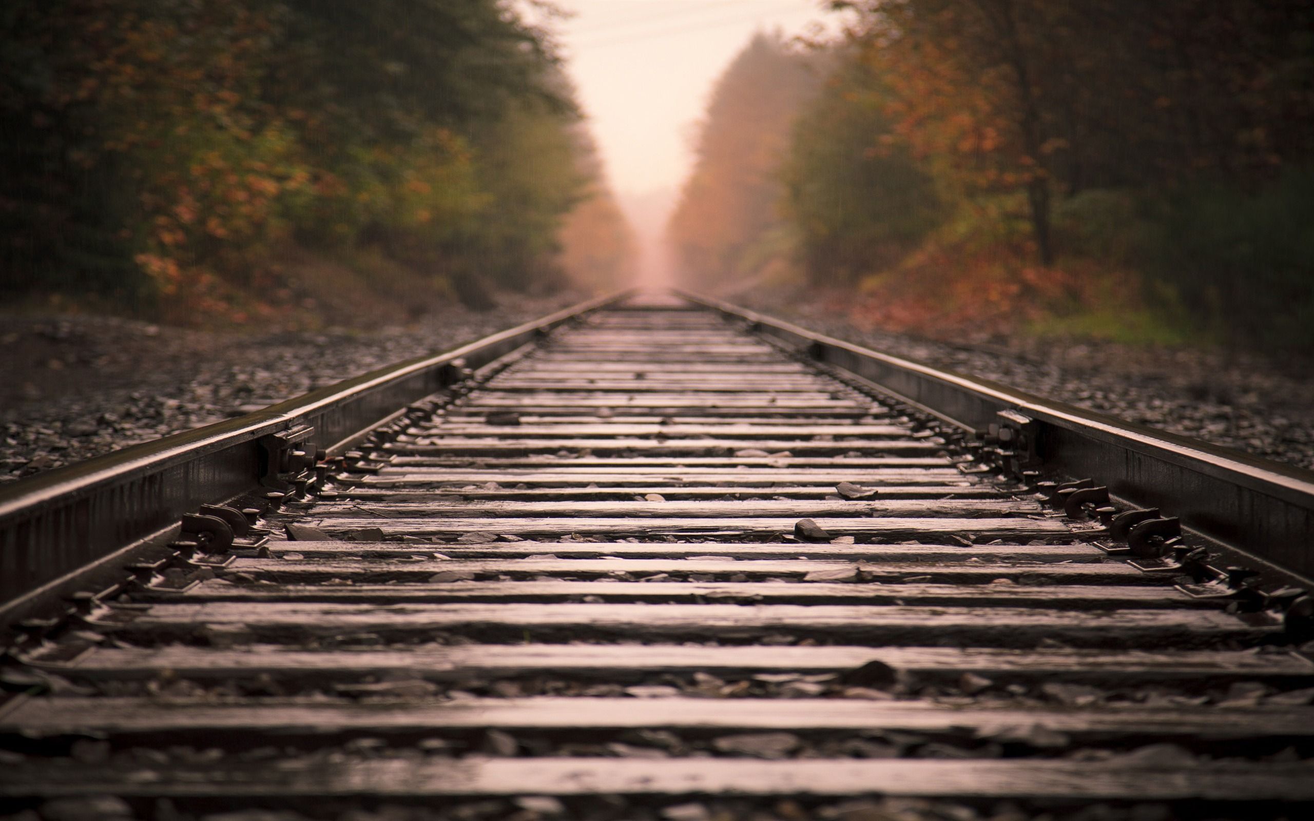 2560x1600 Railroad Tracks Trains And Railway Series Wallpaper
