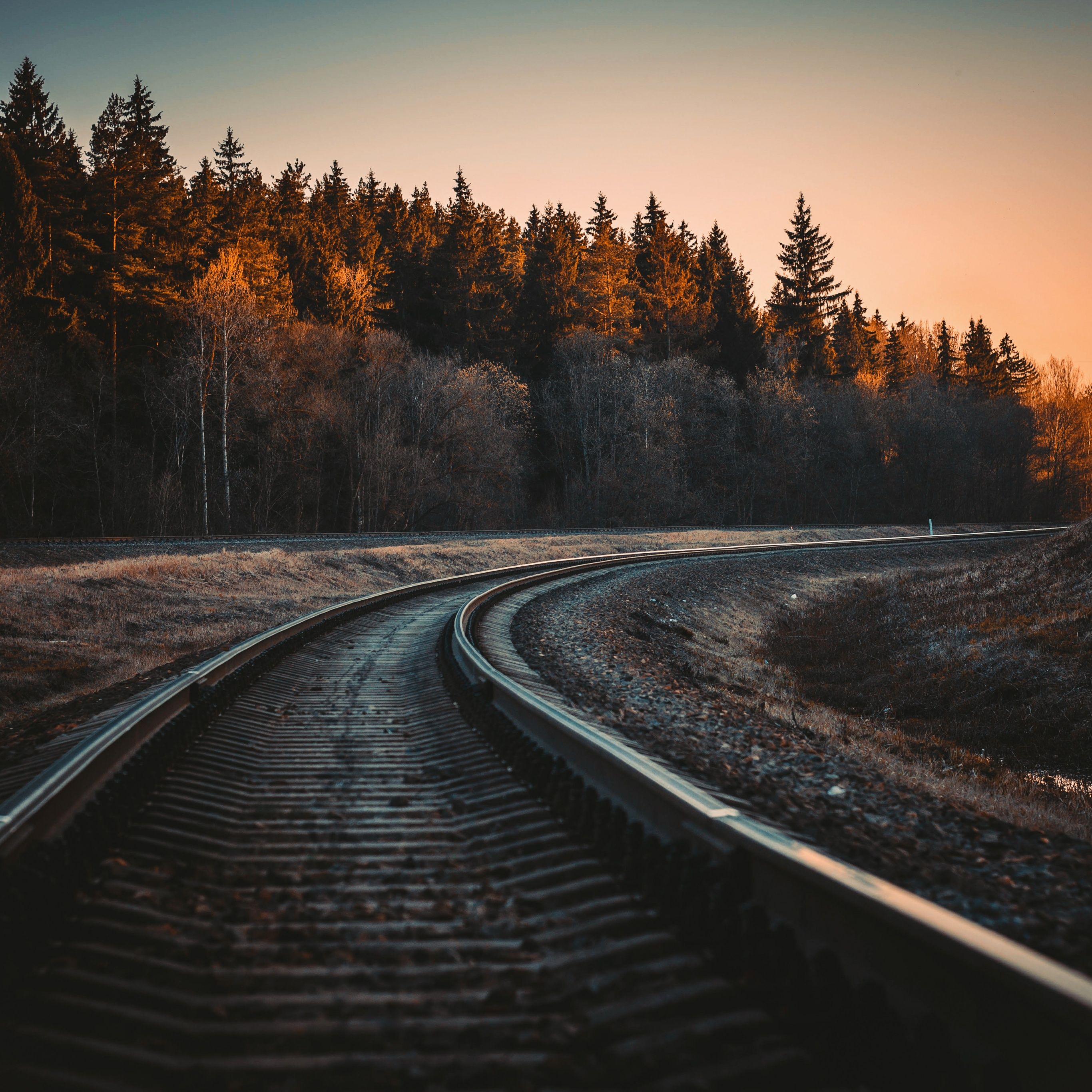 2732x2732 Railway track Wallpaper 4K, Trees, Golden hour, Dusk, Curve