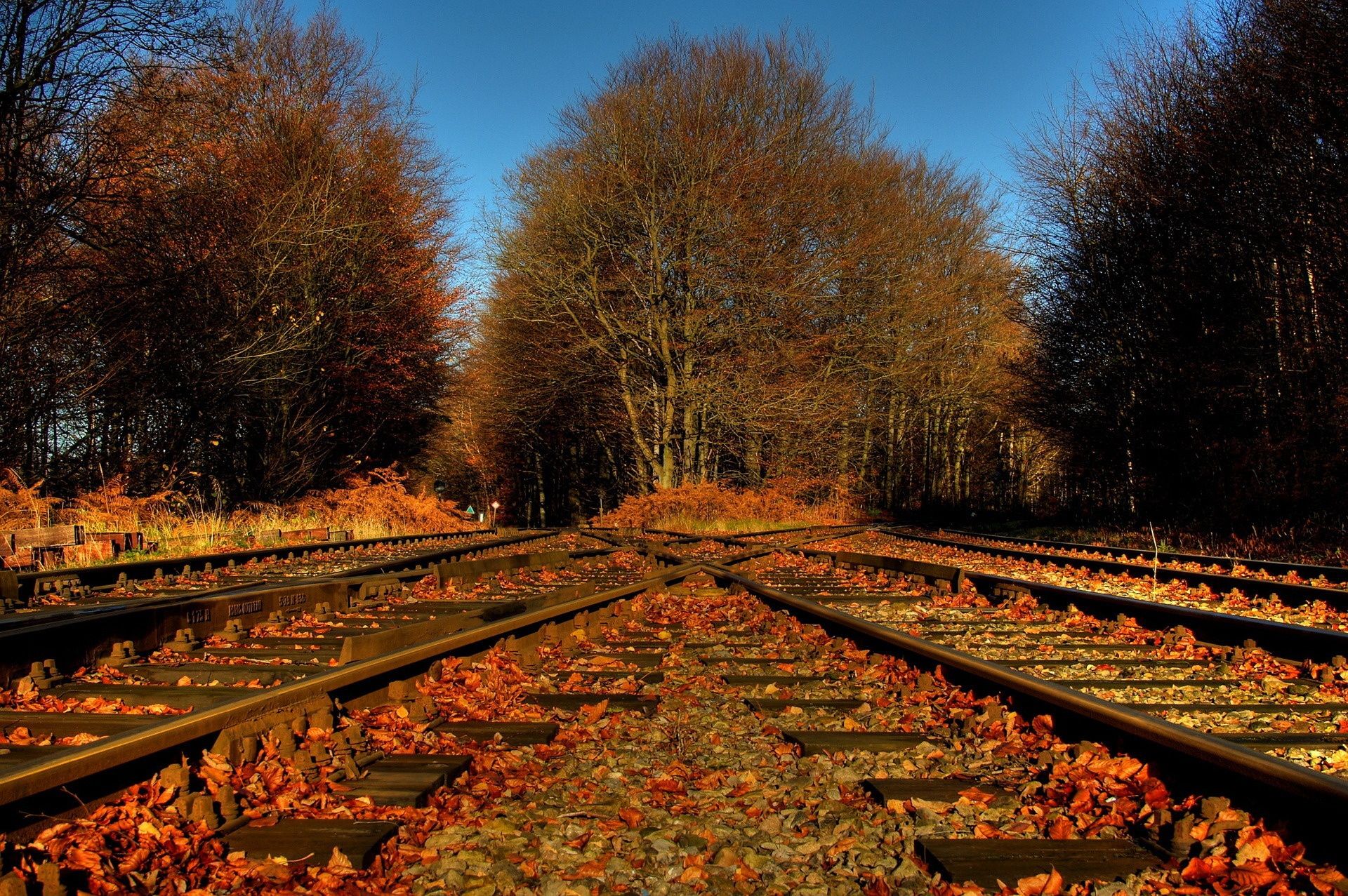 1920x1277 trees, Foliage, Leaves, Railroad, Tracks, Crossing, Road, Autumn Wallpaper HD / Desktop and Mobile Background