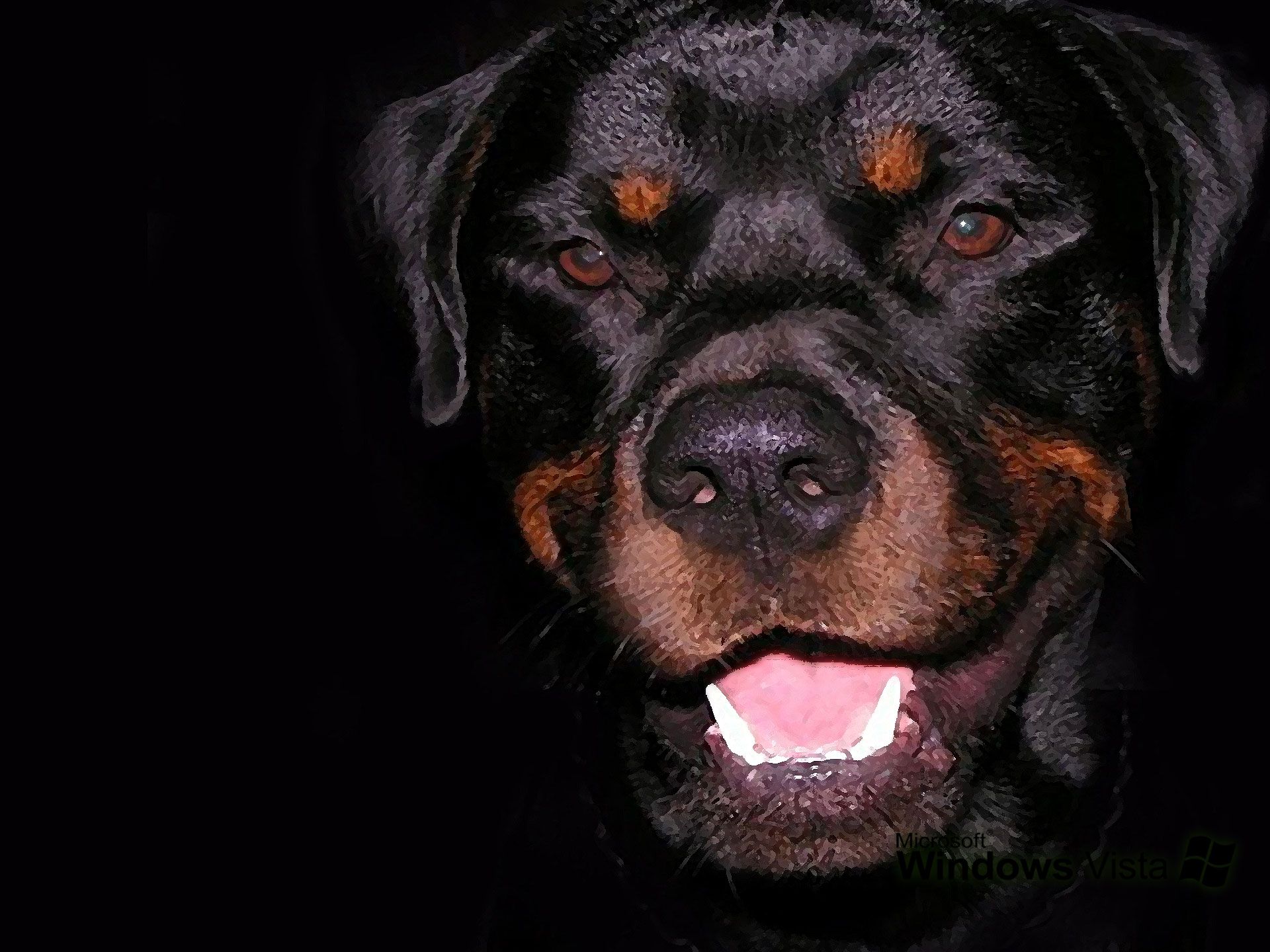 1920x1440 Angry dog rottweiler Desktop wallpaper 640x480