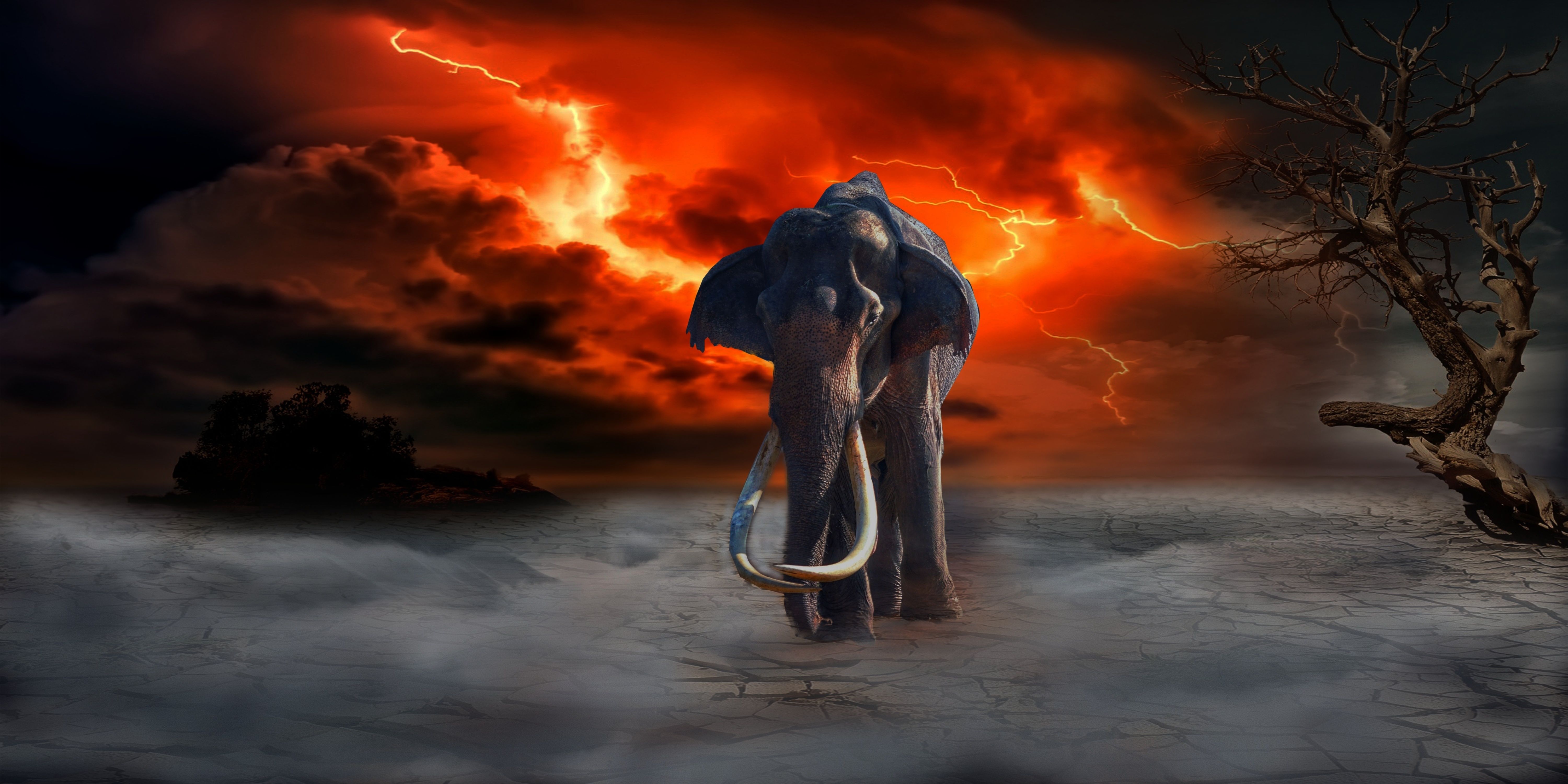 6000x3000 Wallpaper fire, Lightning, elephant for mobile and desktop, section животные, resolution 6000x3000