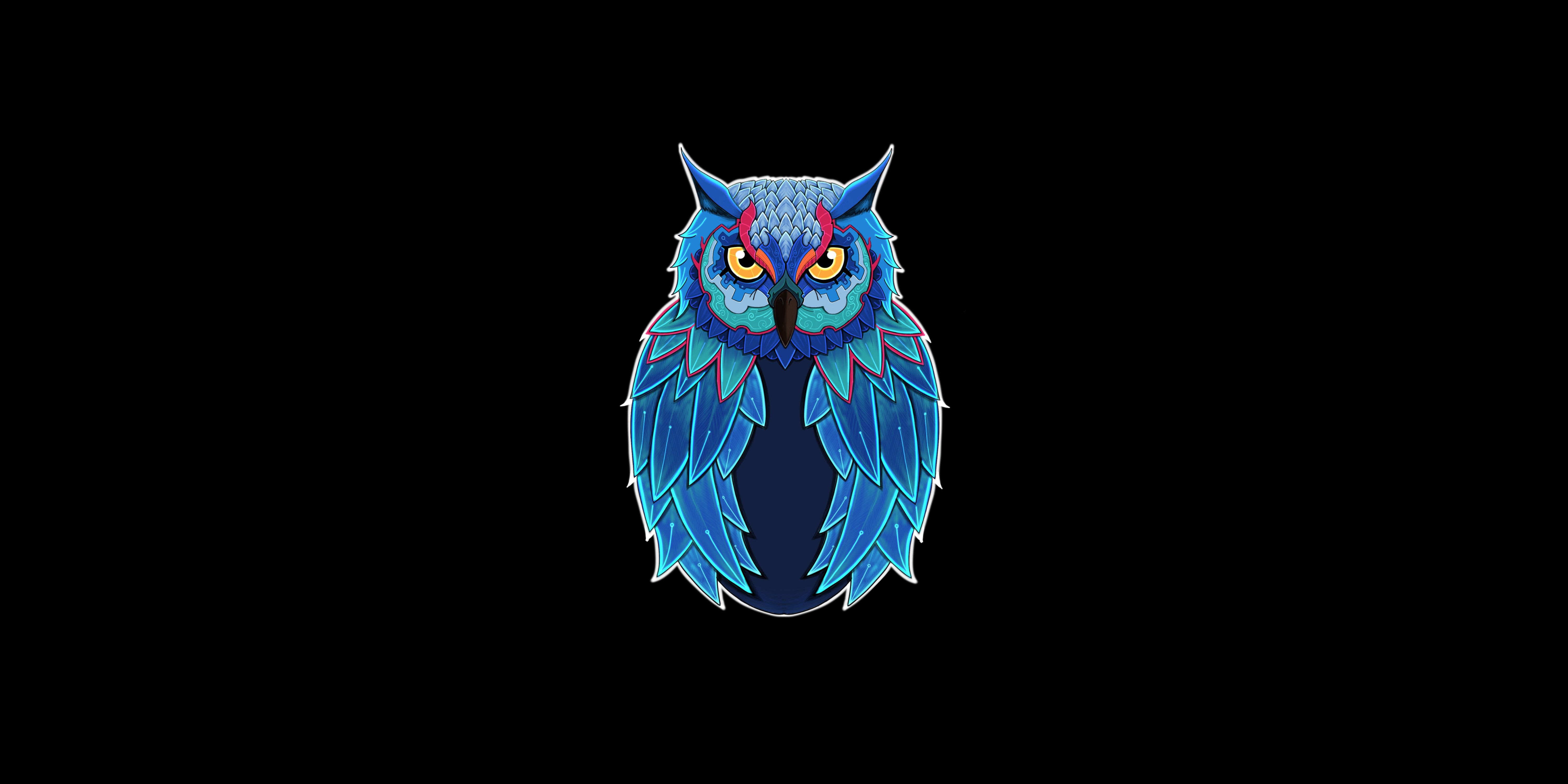 6000x3000 Wallpaper look, style, owl, bird, minimalism, style, bird, owl for mobile and desktop, section минимализм, resolution 6000x3000