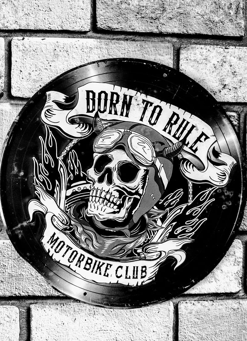 800x1102 Born to ride, motorcycle, skull, HD phone wallpaper