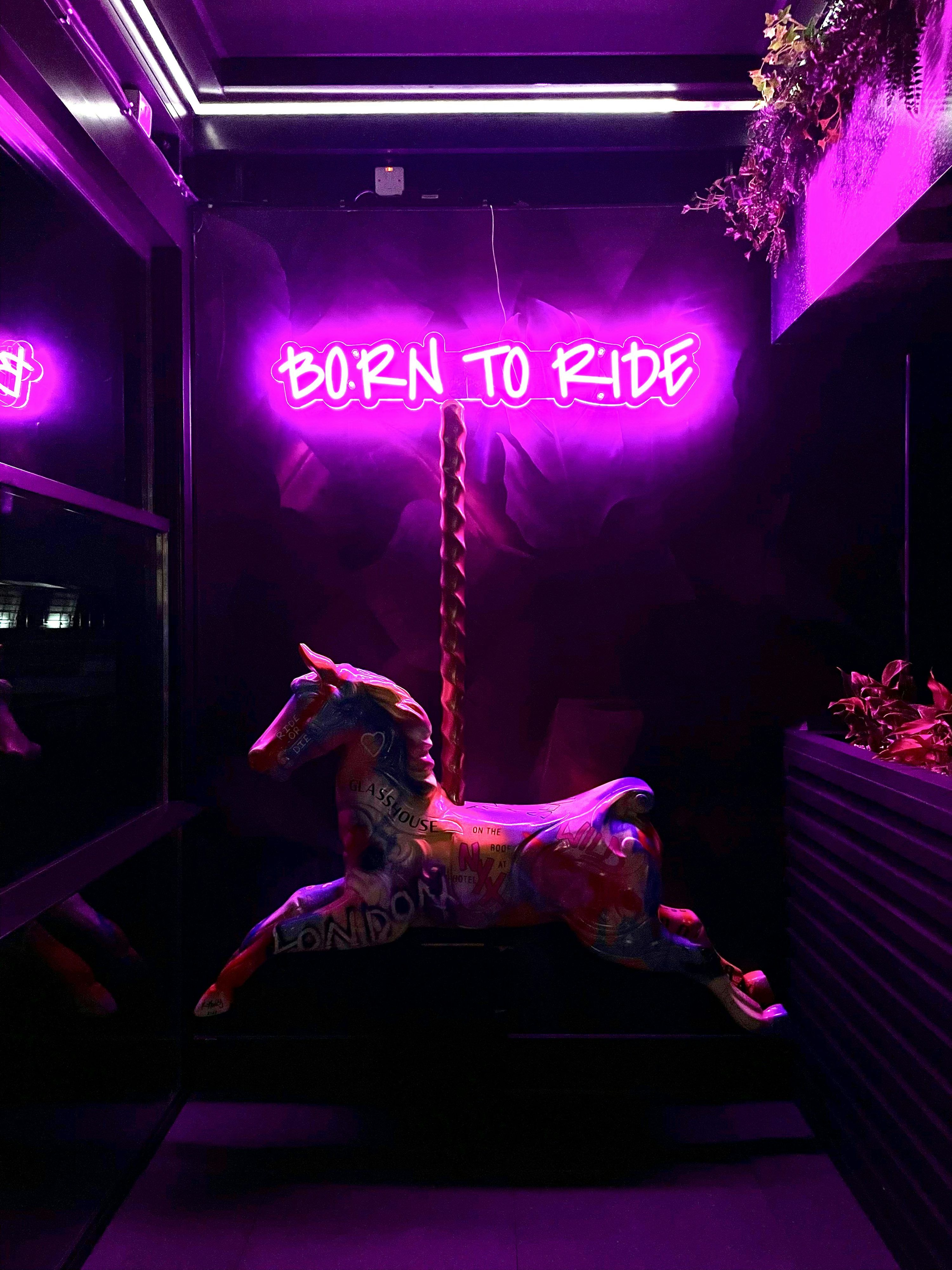3000x4000 A neon sign that reads born to ride photo