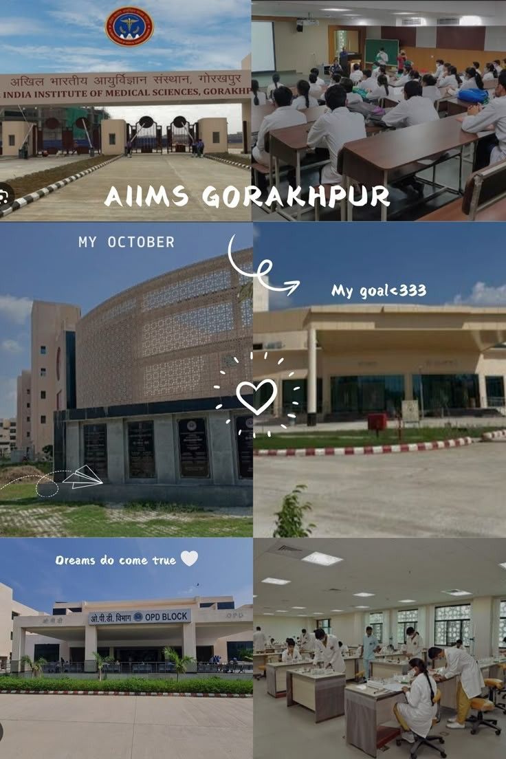 736x1104 AIIMS ❤️