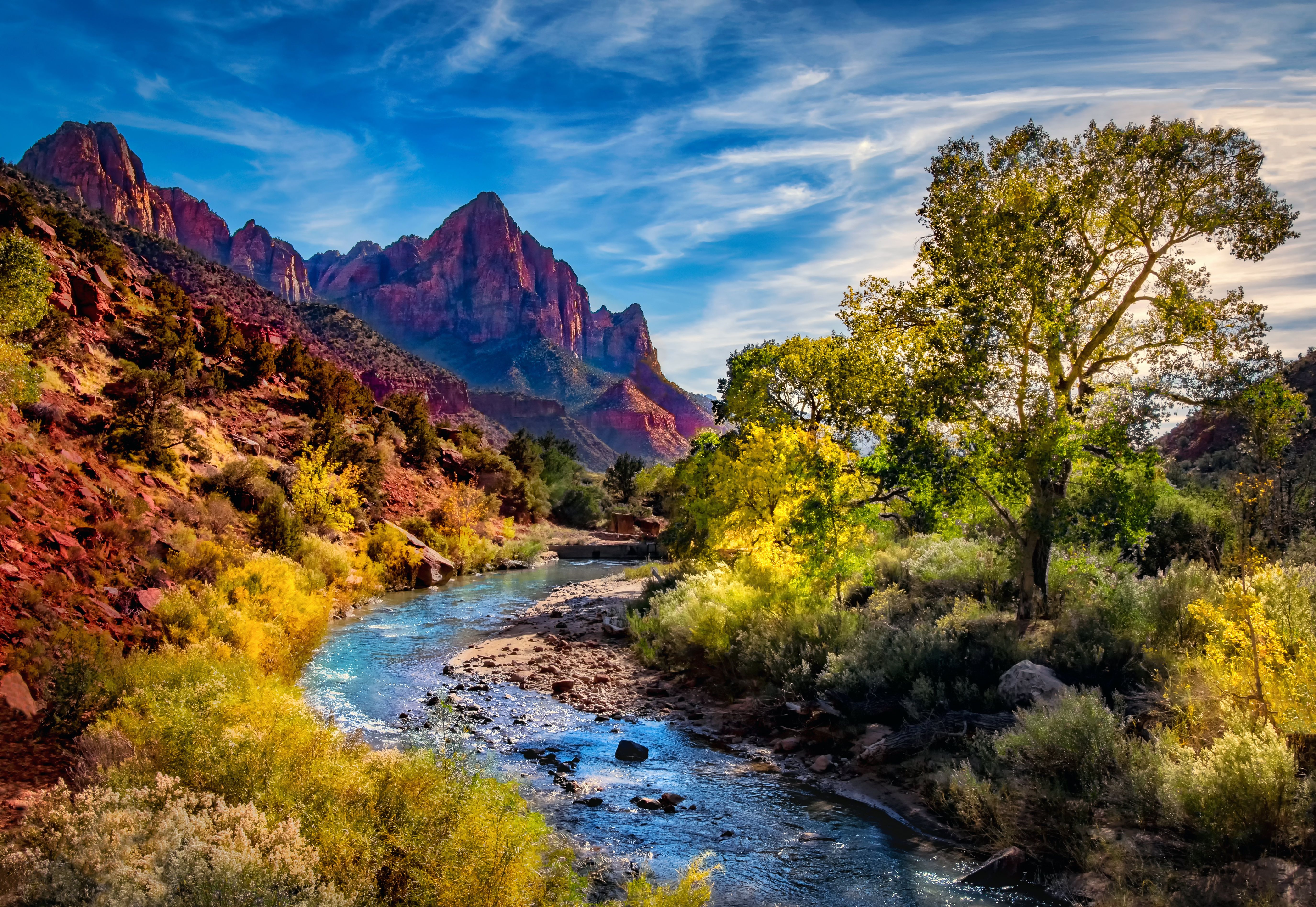 5500x3789 Zion Canyon River & Lone Tree