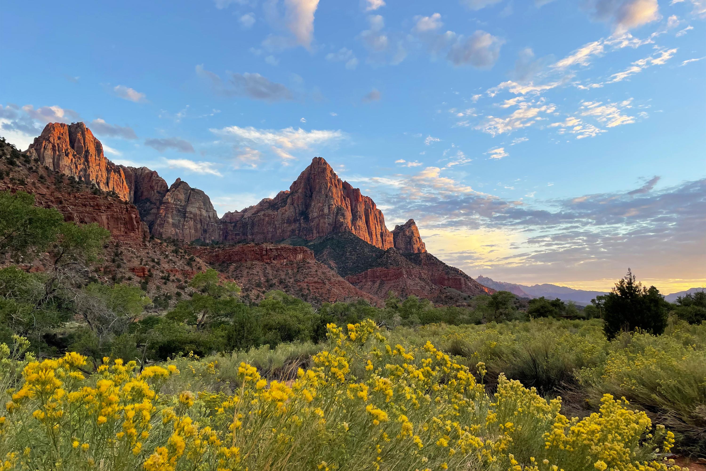 3000x2000 Zion National Park (U.S. National Park Service)