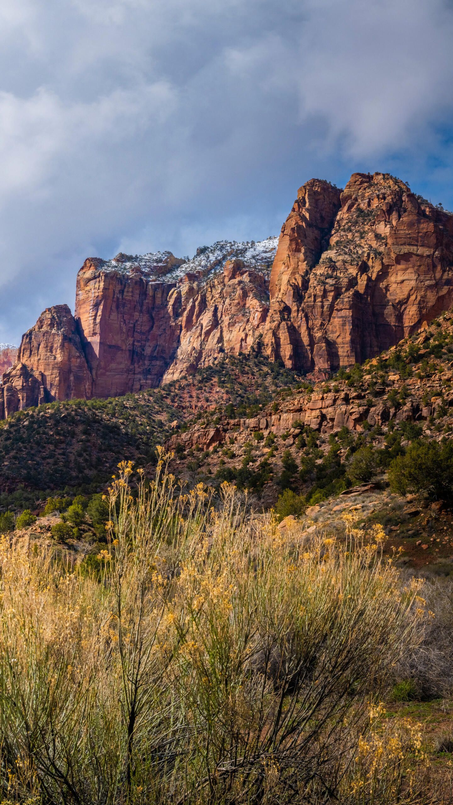 1440x2560 Morning in Zion National Park · 1440x2560 QHD free photo from skywolfx and wallpaper
