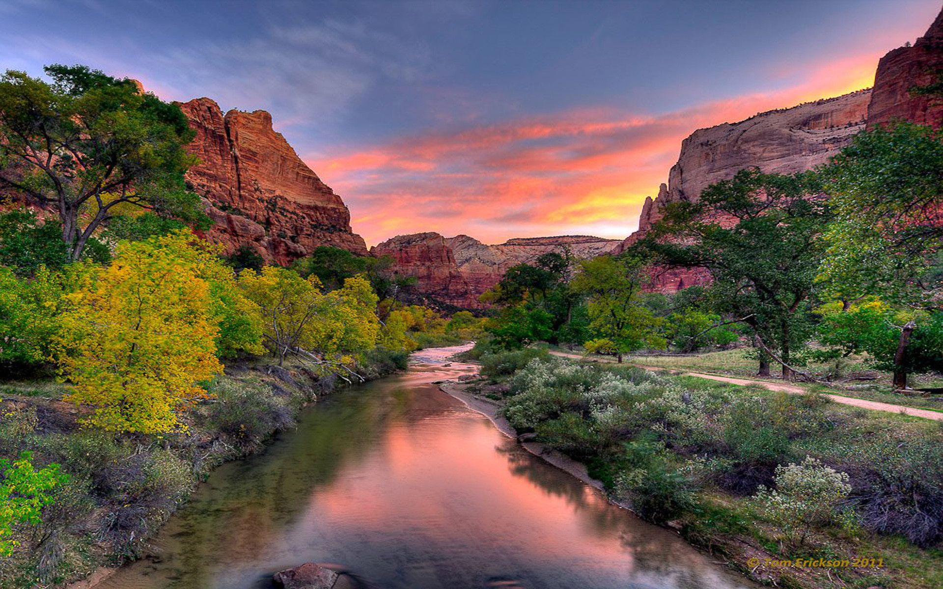 1920x1200 Zion National Park Background Wallpaper 119724