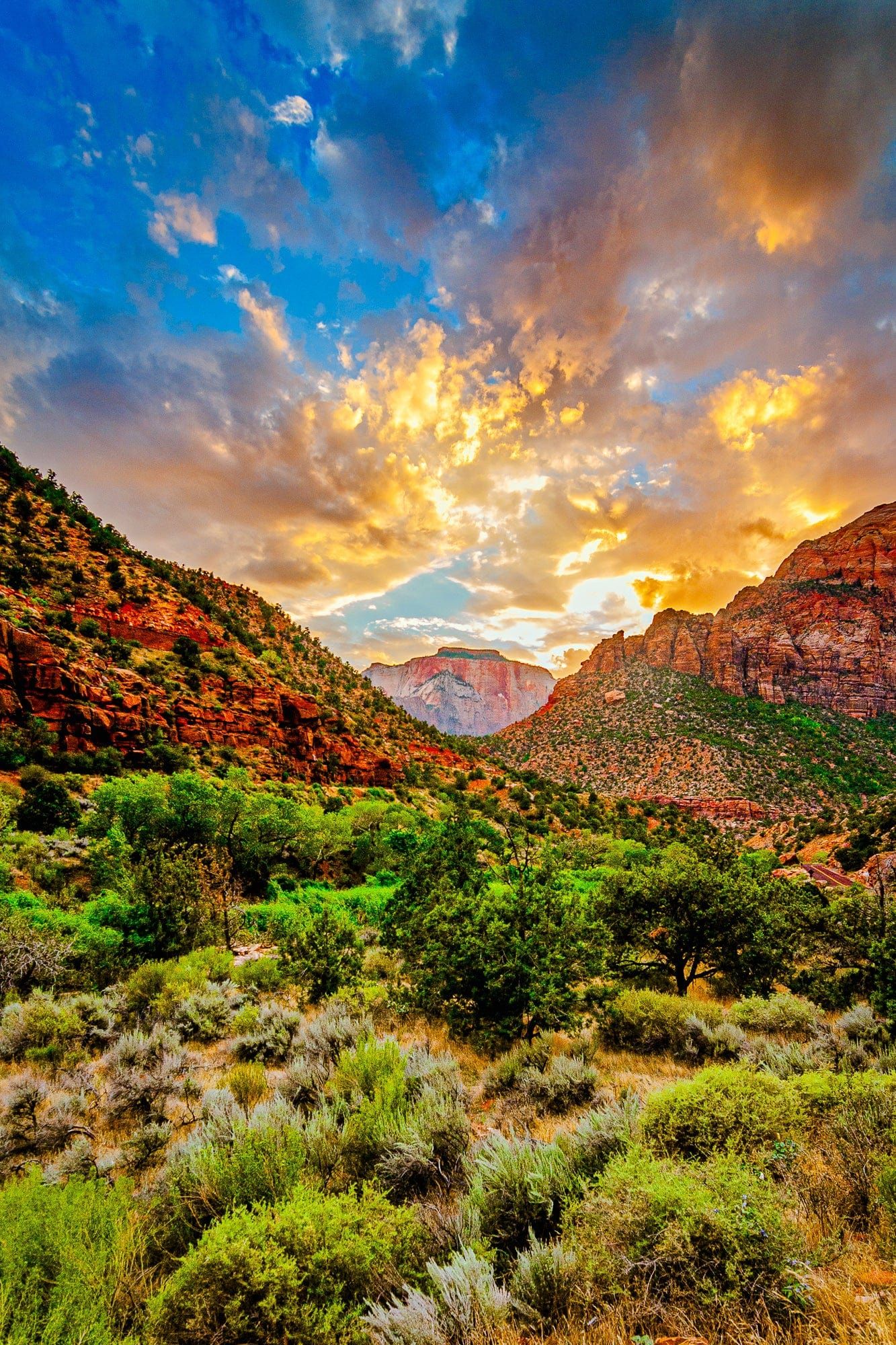 1333x2000 Embark On A Journey To One Of Nature's Most Awe Inspiring Spectacles With Our Zion, Golden Hour Wooden Jigsaw Puzzle