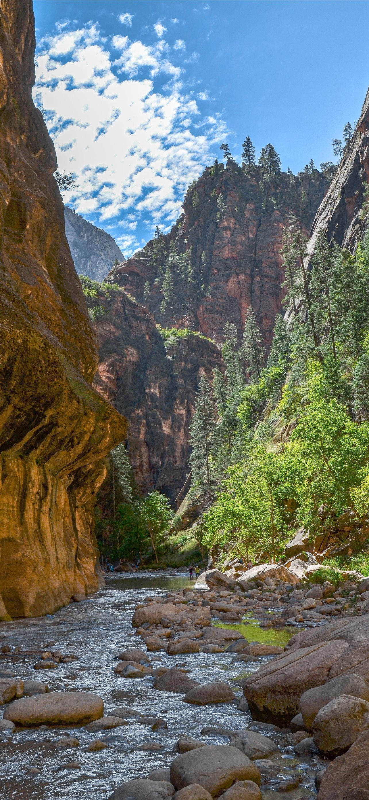 1284x2778 The Contrast of Colors in the Narrows Zion Nationa. iPhone Wallpaper Free Download