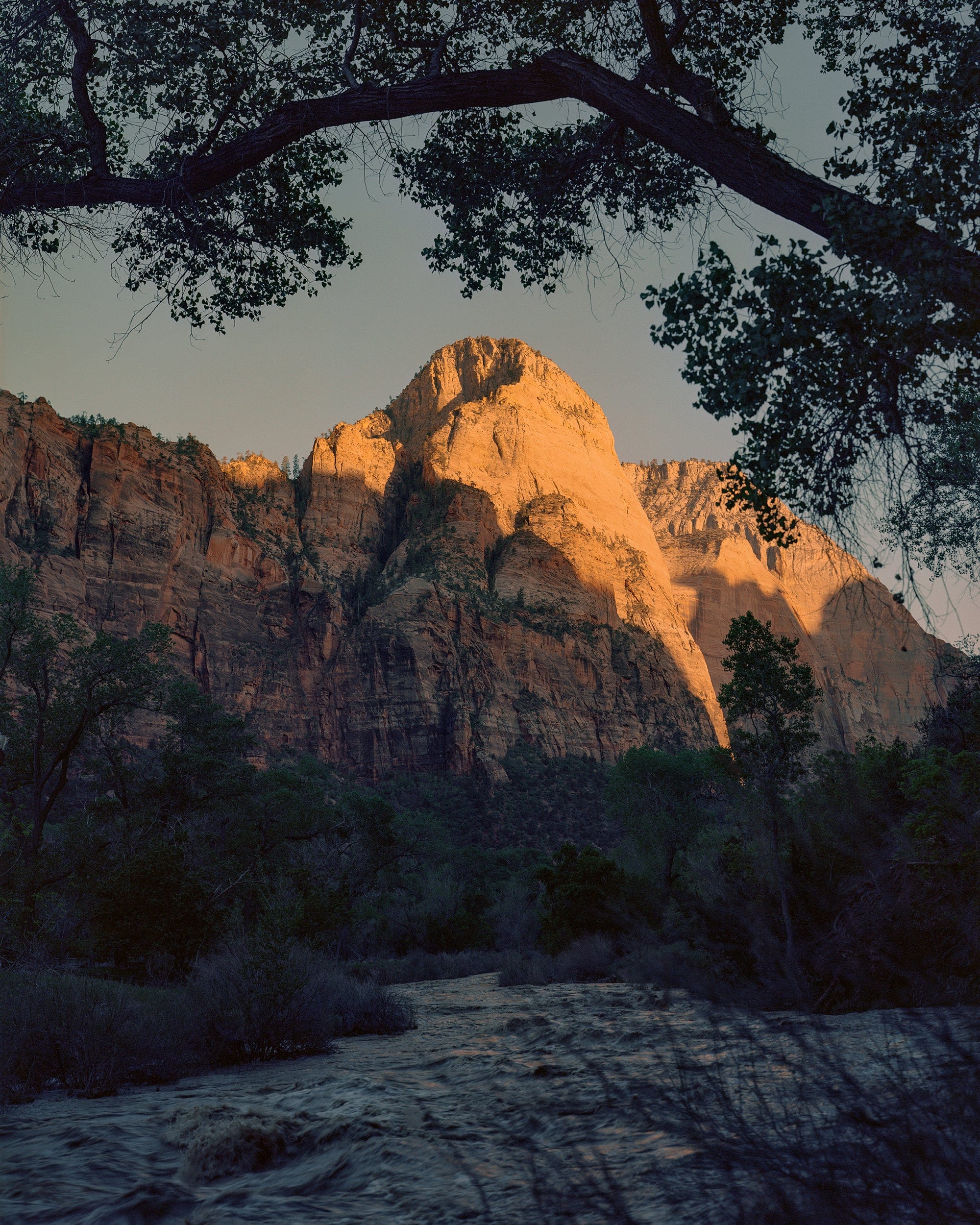 2000x2500 Desert Light, Canyon Cool: Zion National Park