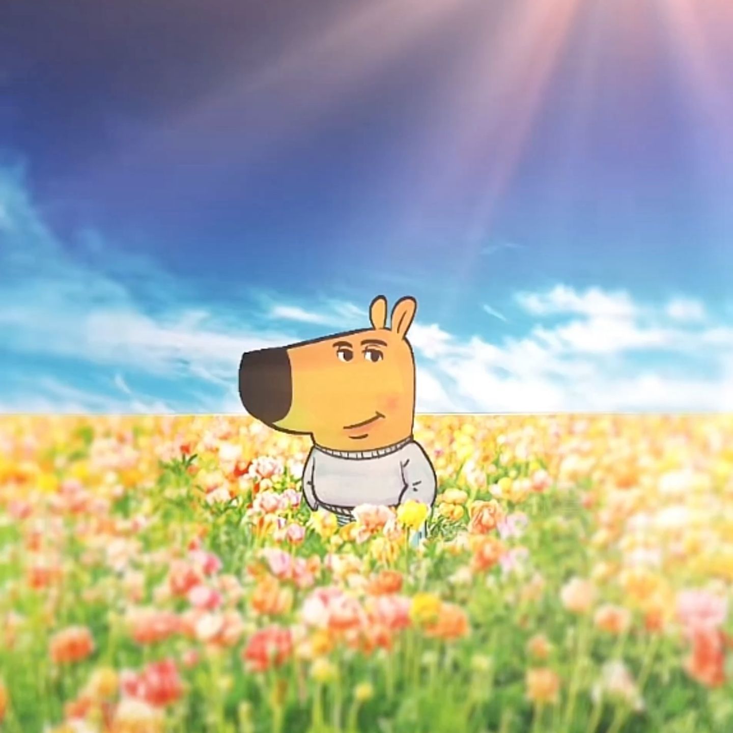 1440x1440 Just a chill guy ideas. my new character chill guy, chill guy wallpaper, chill guy memes