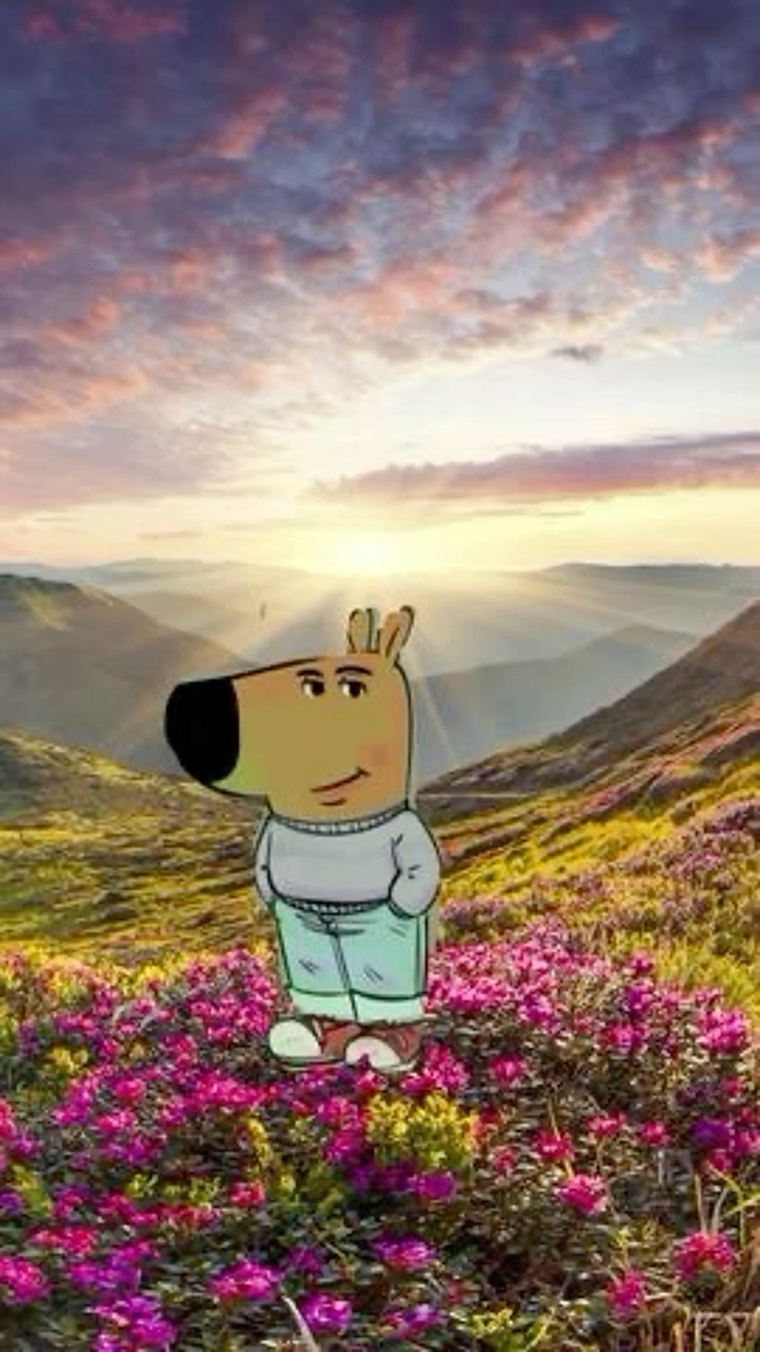 1080x1920 Discover 16 chill guy and the chill guy ideas. chilling guy, chilled guy, new character chill guy and more
