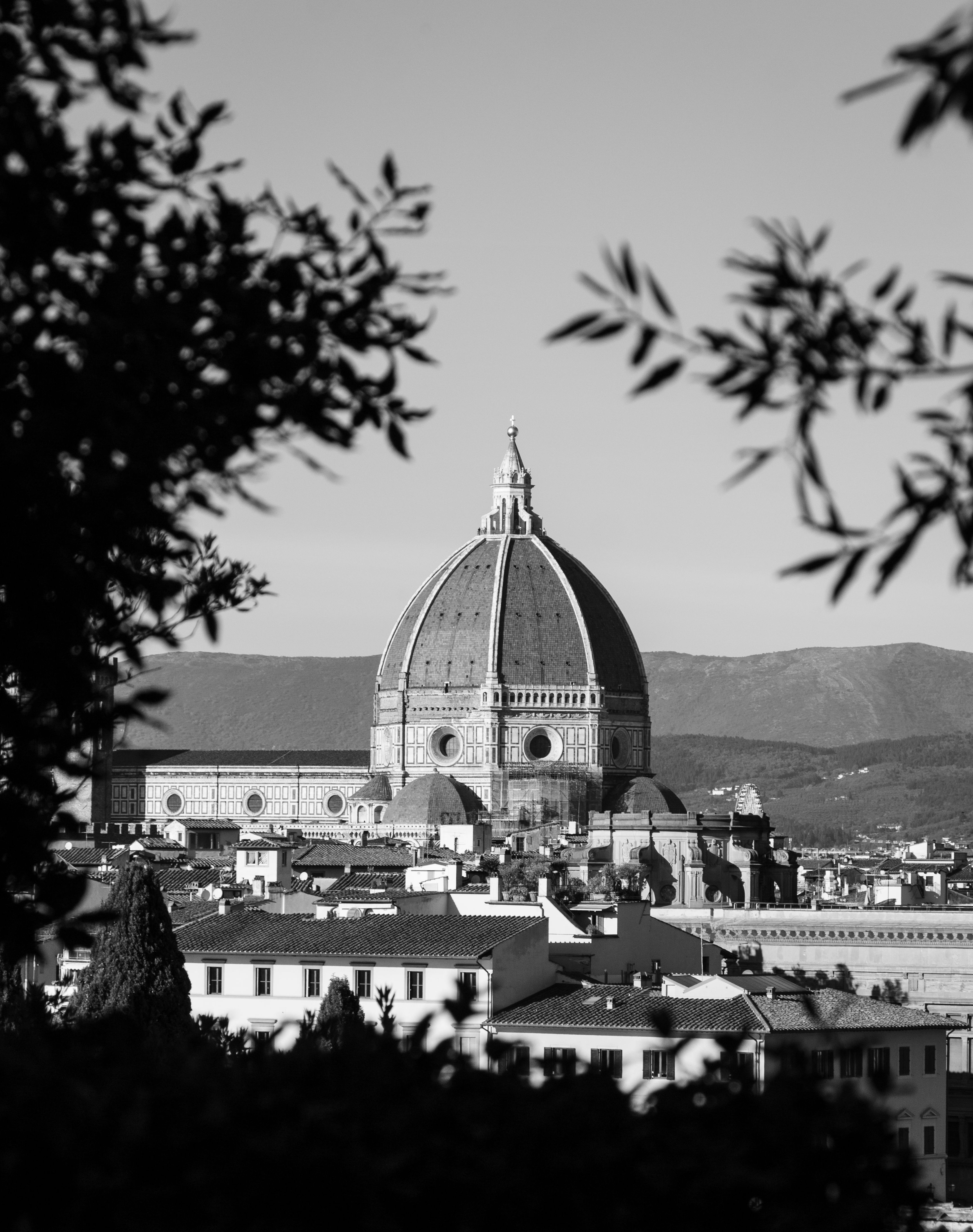 3456x4375 View of the Dome of the Santa Maria del Fiore Cathedral in Florence, Italy · Free