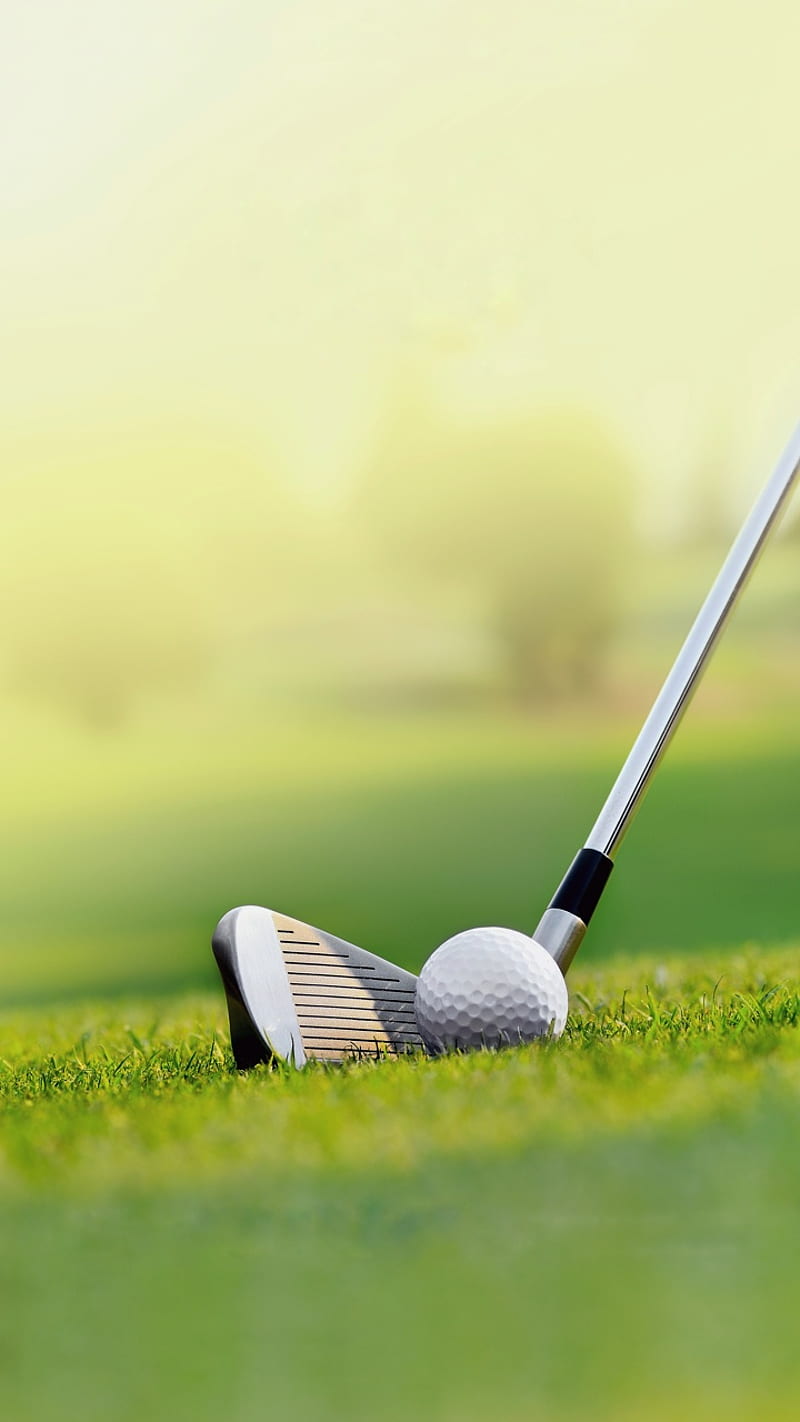 800x1422 Golf, green, nature, sport, esports, HD phone wallpaper