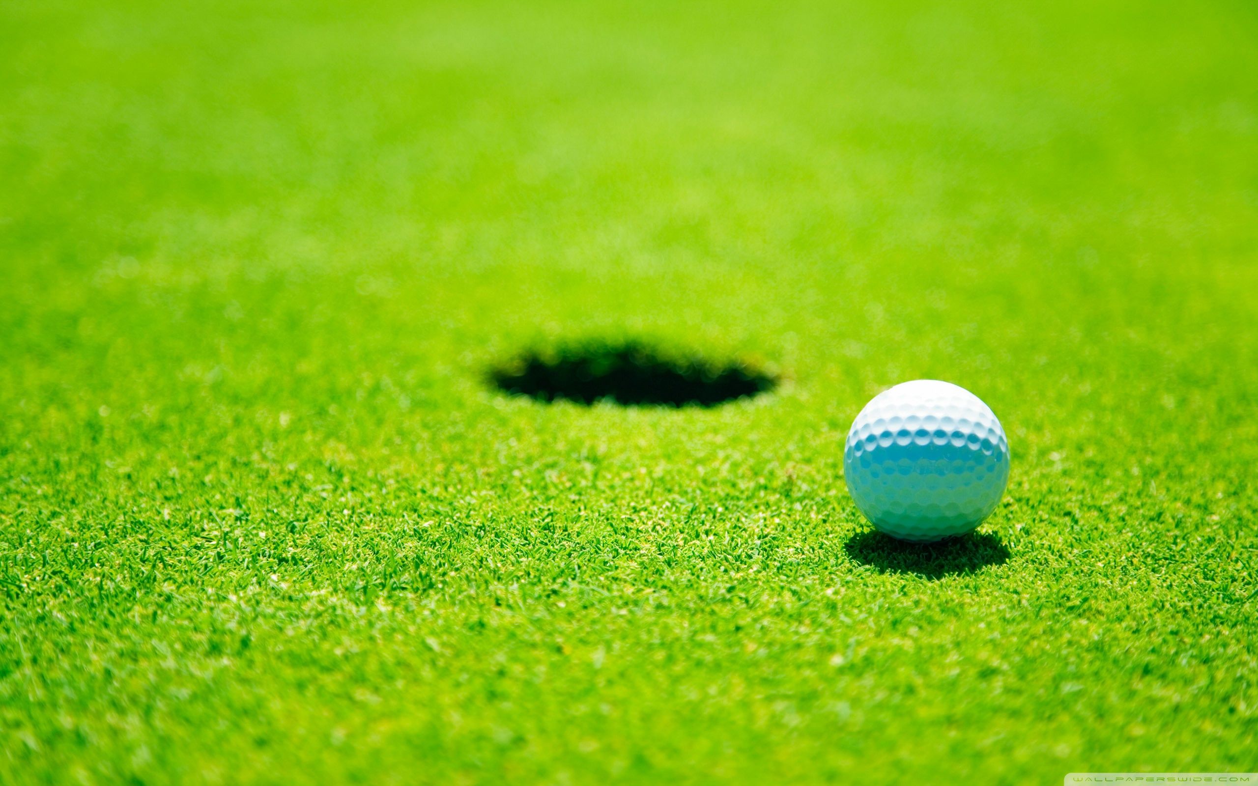 2560x1600 Golf 4K UHD Wallpaper for UltraHD Desktop and TV : Dual Monitor