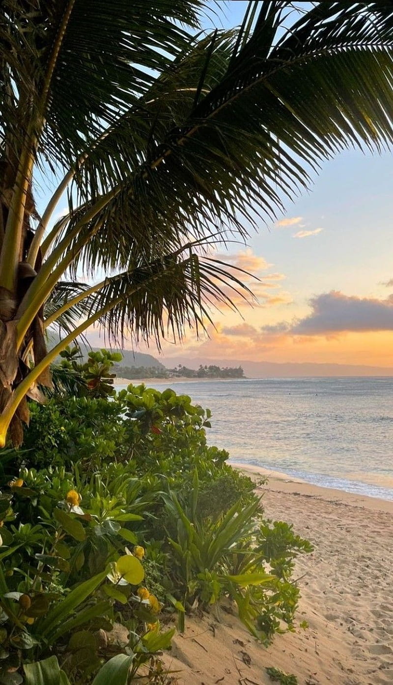 800x1393 Hawaii sunset. Sky aesthetic, Beautiful places to travel, Scenery, HD phone wallpaper