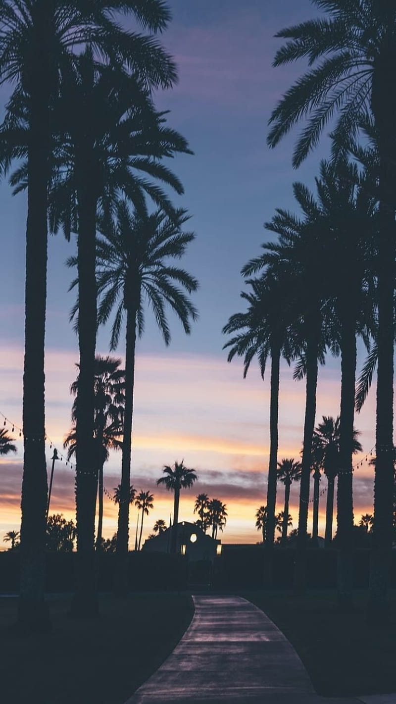 800x1422 Beautiful Place, romantic, sun, shine, HD phone wallpaper
