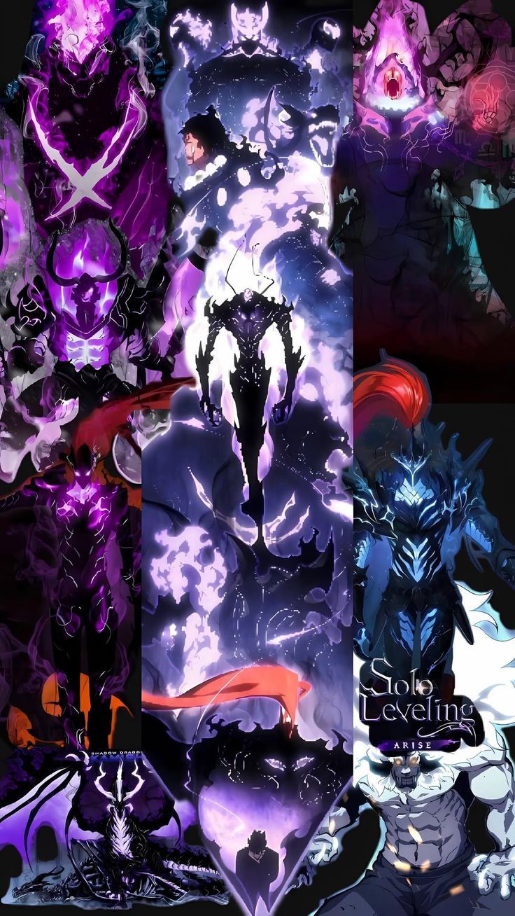 736x1308 Solo Leveling