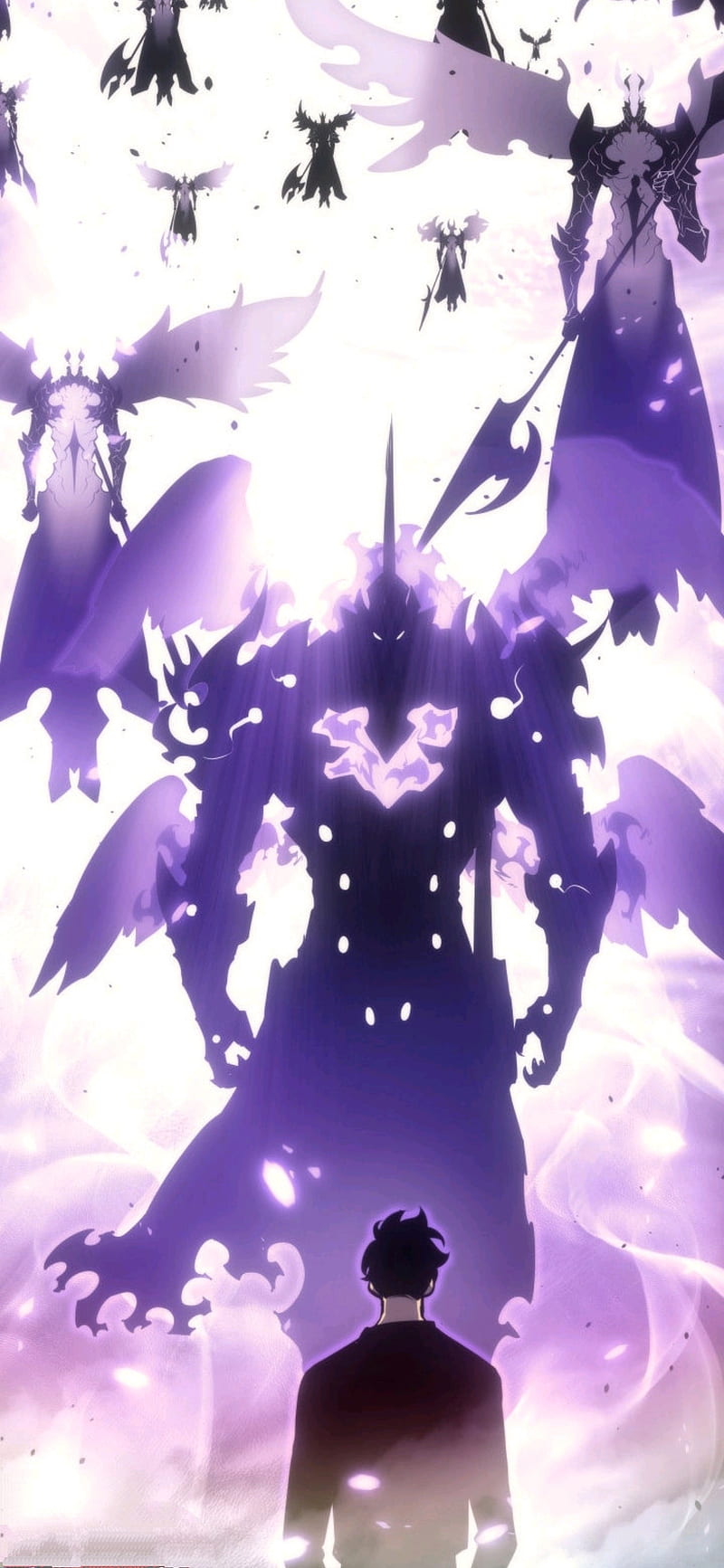 800x1733 Solo Leveling, manhwa, shadow, Sung jin woo, HD phone wallpaper