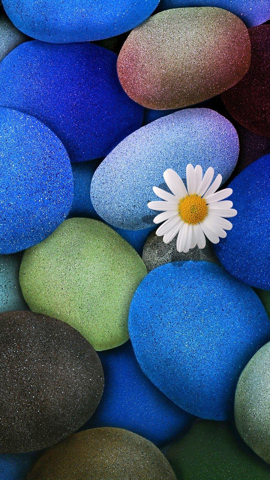 900x1600 Stone Flower Wallpaper iPhone 6S Plus. Bubbles wallpaper, Flower wallpaper, Cellphone wallpaper