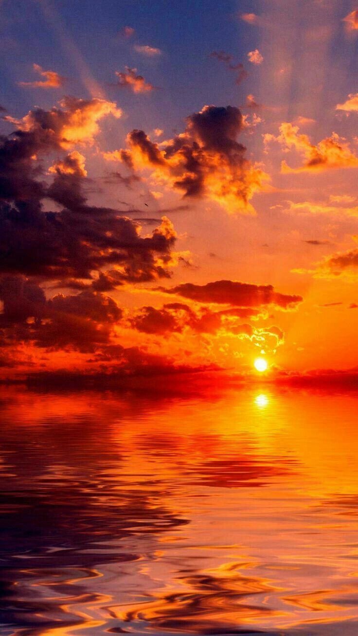 736x1308 Sunrise .. Sunset iphone wallpaper, Sunset wallpaper, Sunrise wallpaper