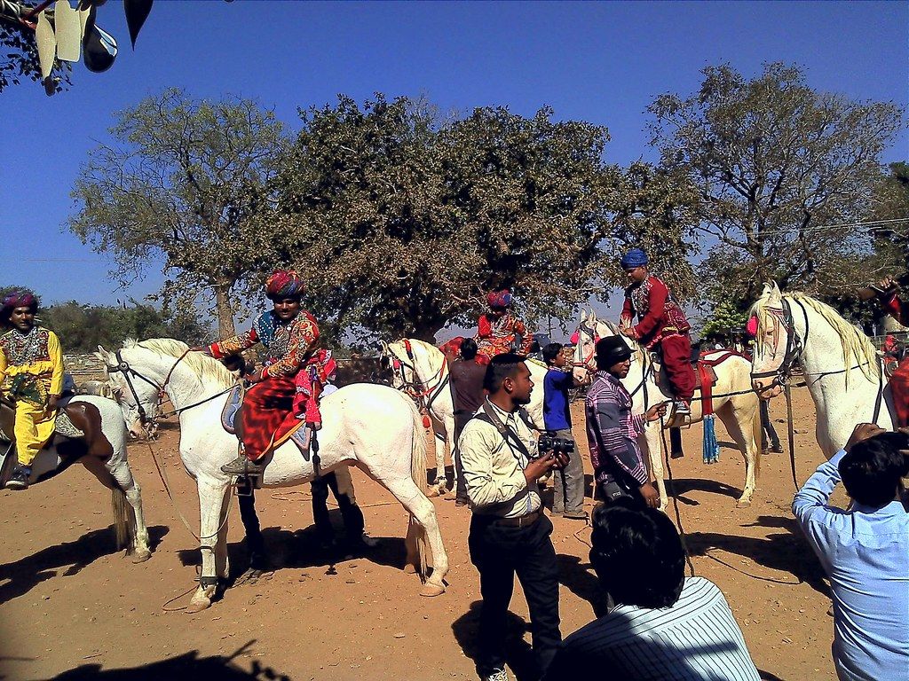 1024x768 Horse near Padmini Palace, Rana Kumbha Palace, Chittorgarh