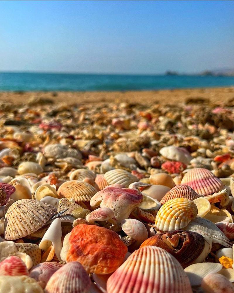 800x1000 Enjoy mesmerizing picture of Hormozgan Beaches iFilm