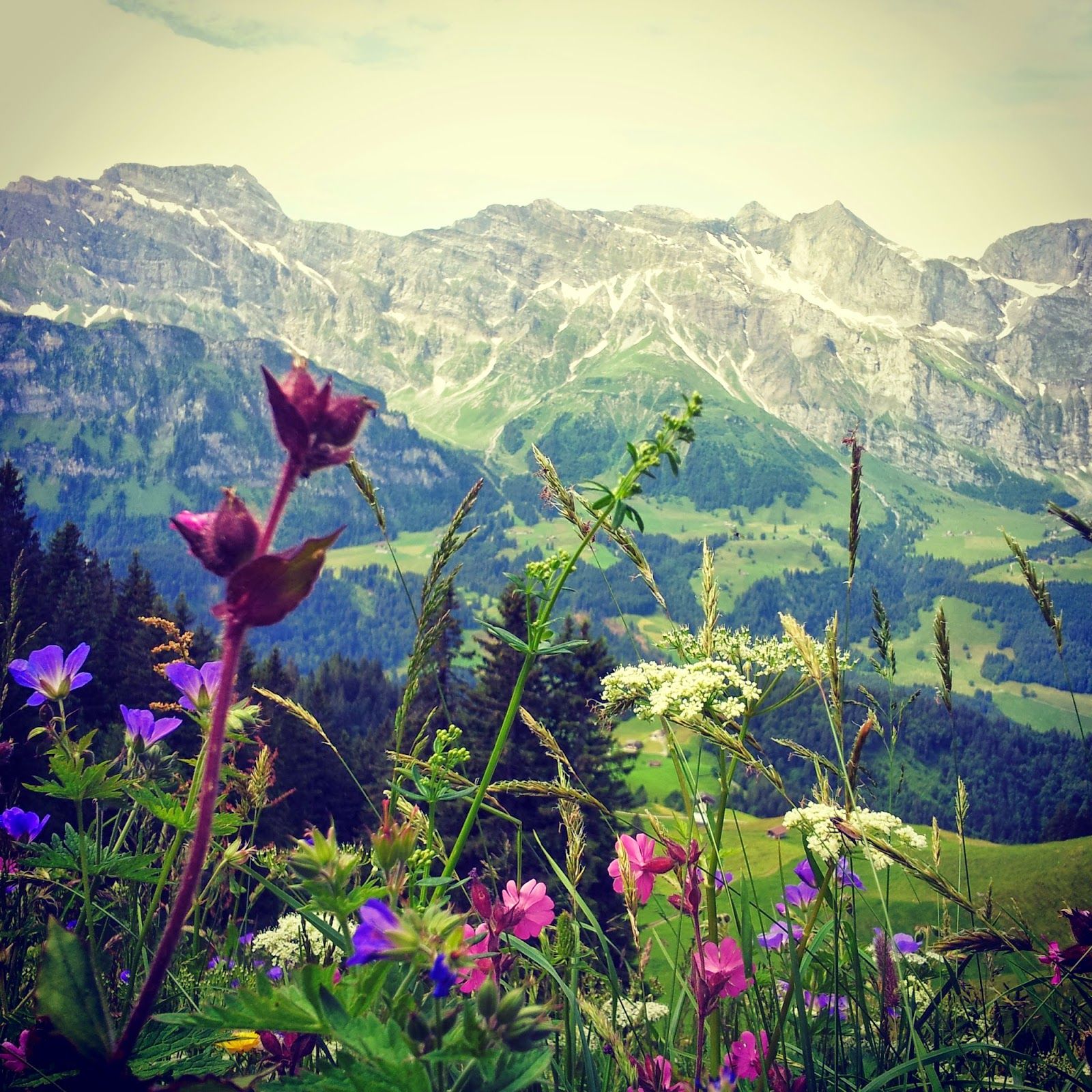 1600x1600 Language Learning with Erik Wirdheim: EN: Hiking with Children in Engelberg and Globi's Treasure Hunt