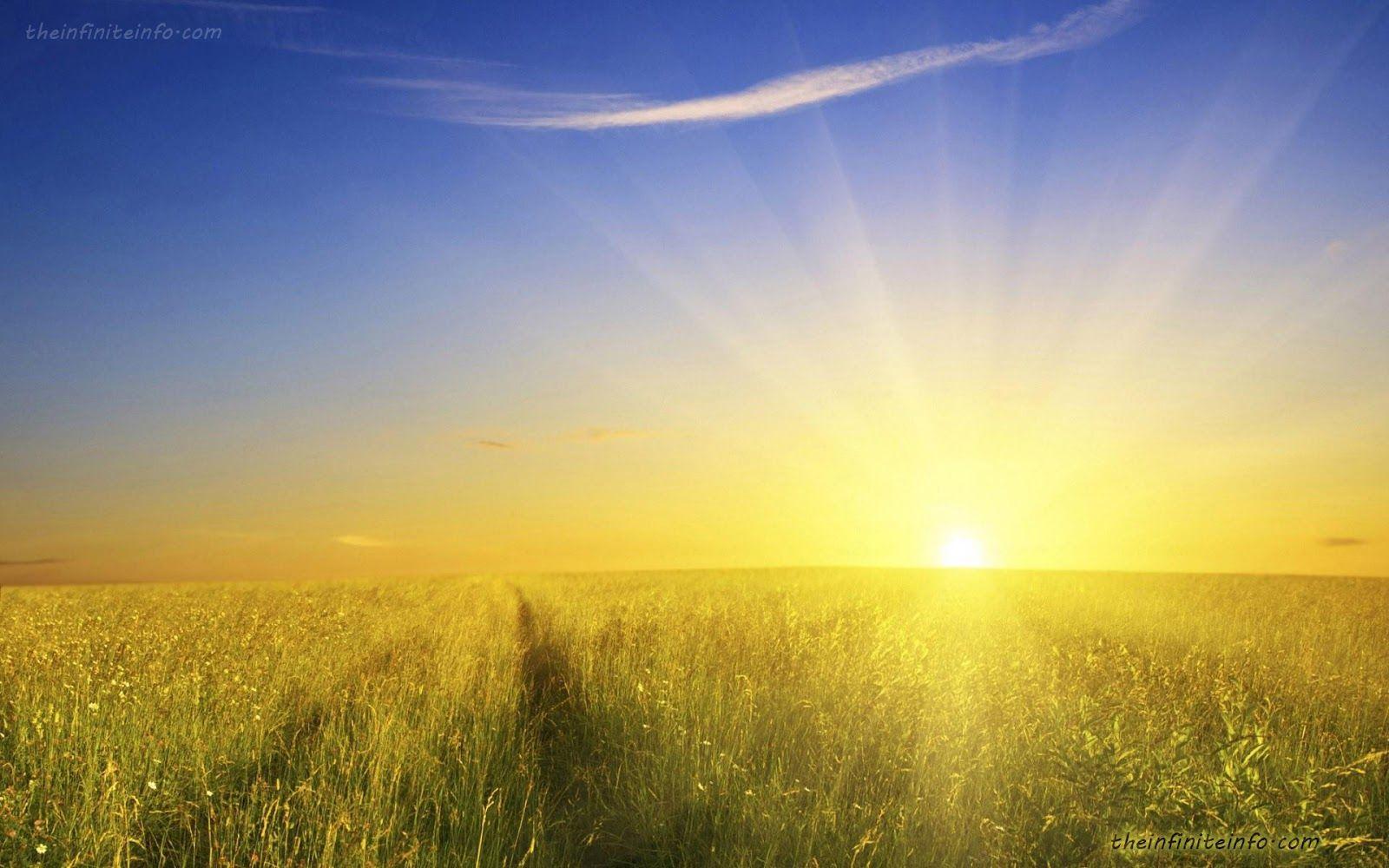 1600x1000 Sunshine Wallpaper