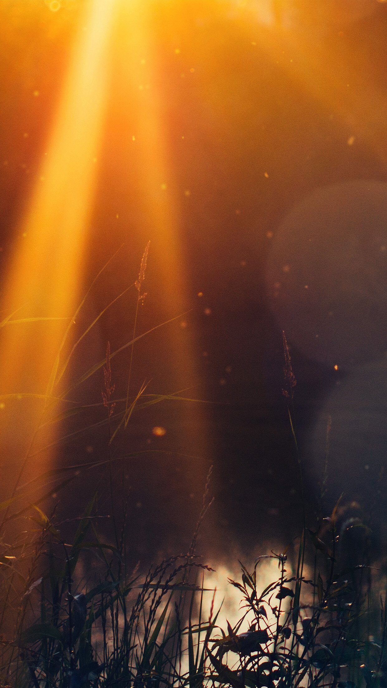 1242x2208 God Light Loves You Nature Flower Lake Flare iPhone 6 Wallpaper