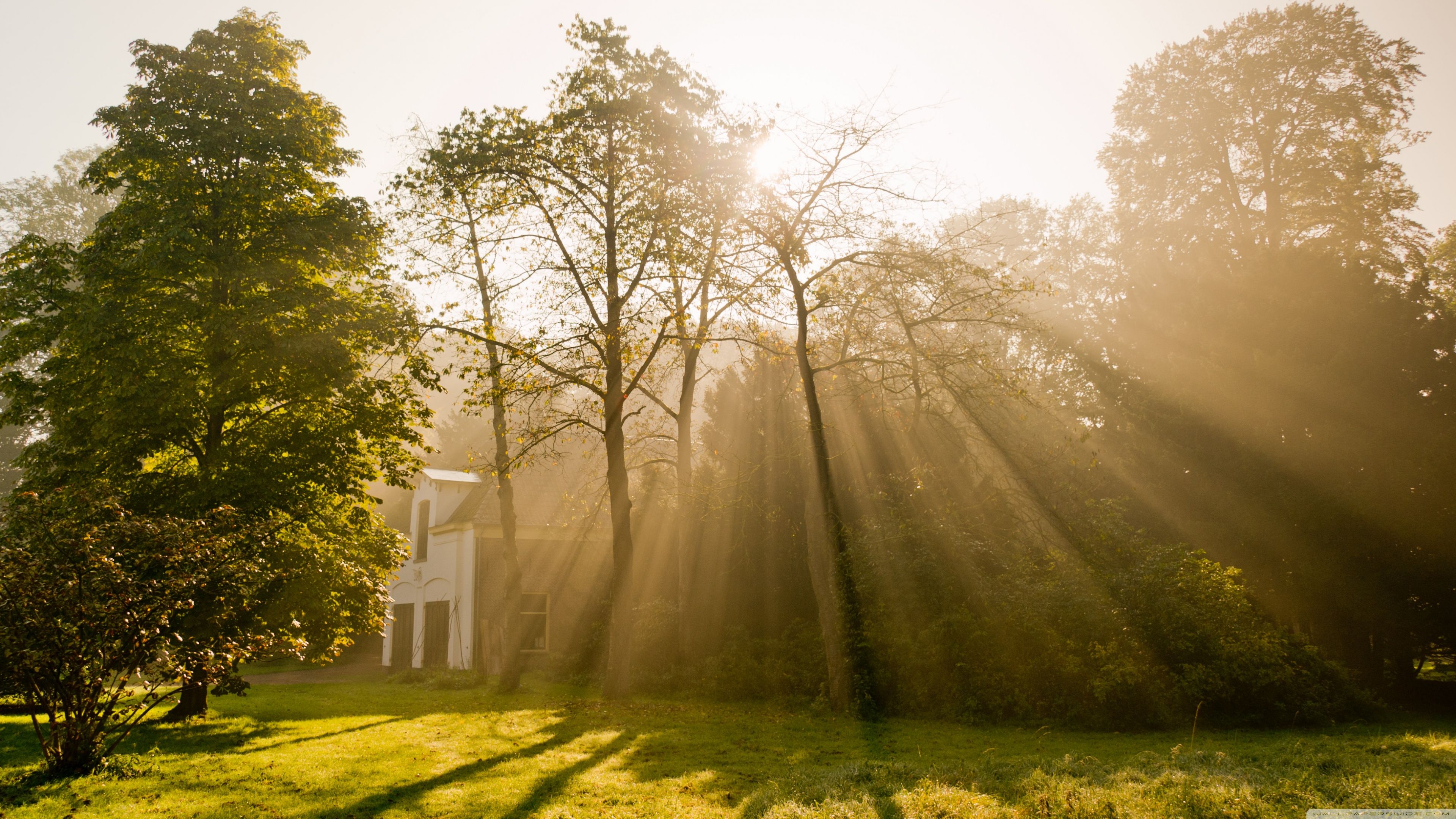 3840x2160 God's Rays 4K UHD Wallpaper for UltraHD Desktop and TV : Widescreen and UltraWide Display : Dual Monitor : Smartphone and Tablet Devices
