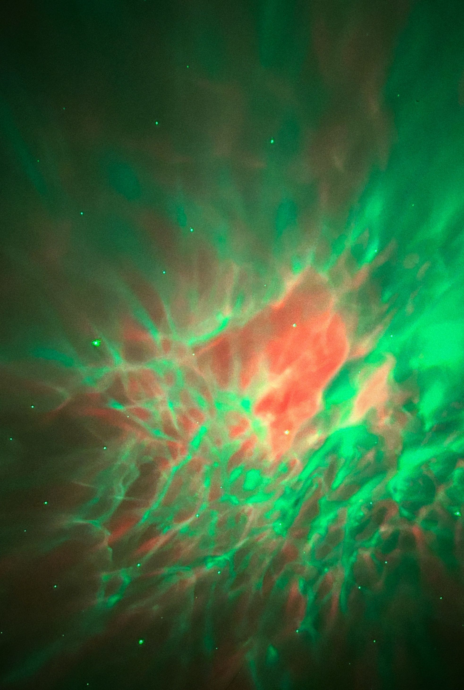 1965x2922 Cosmic Light Photo, Download The BEST Free Cosmic Light & HD Image