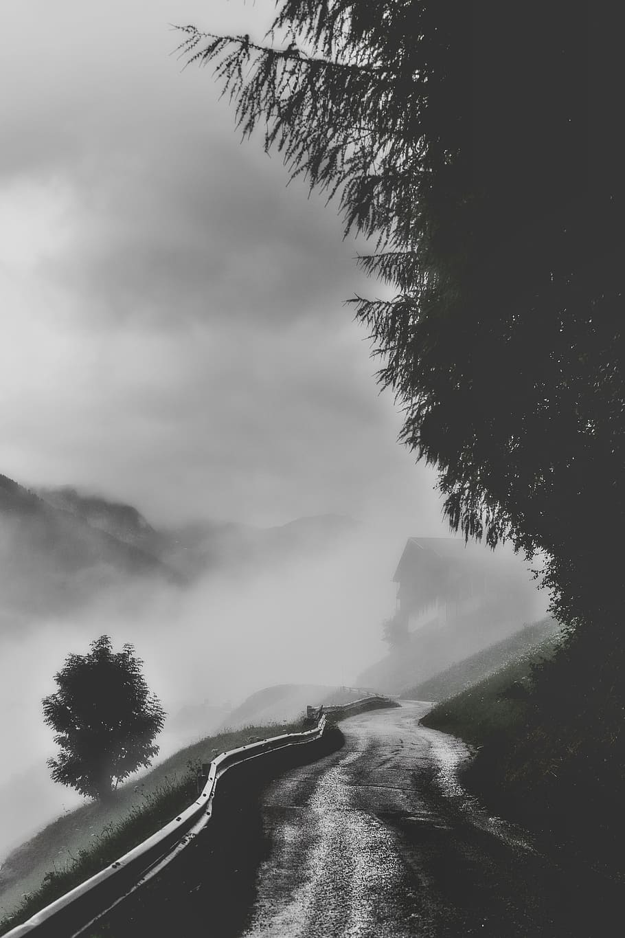 910x1365 HD wallpaper: grayscale photography of road in forest, fog, mist, rain, journey