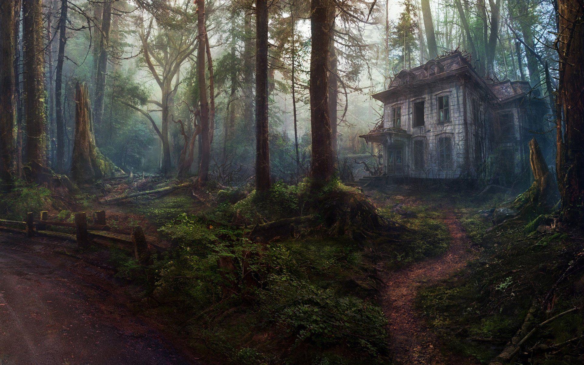 House Forest Wallpapers Top Free House Forest Backgrounds Wallpaperaccess