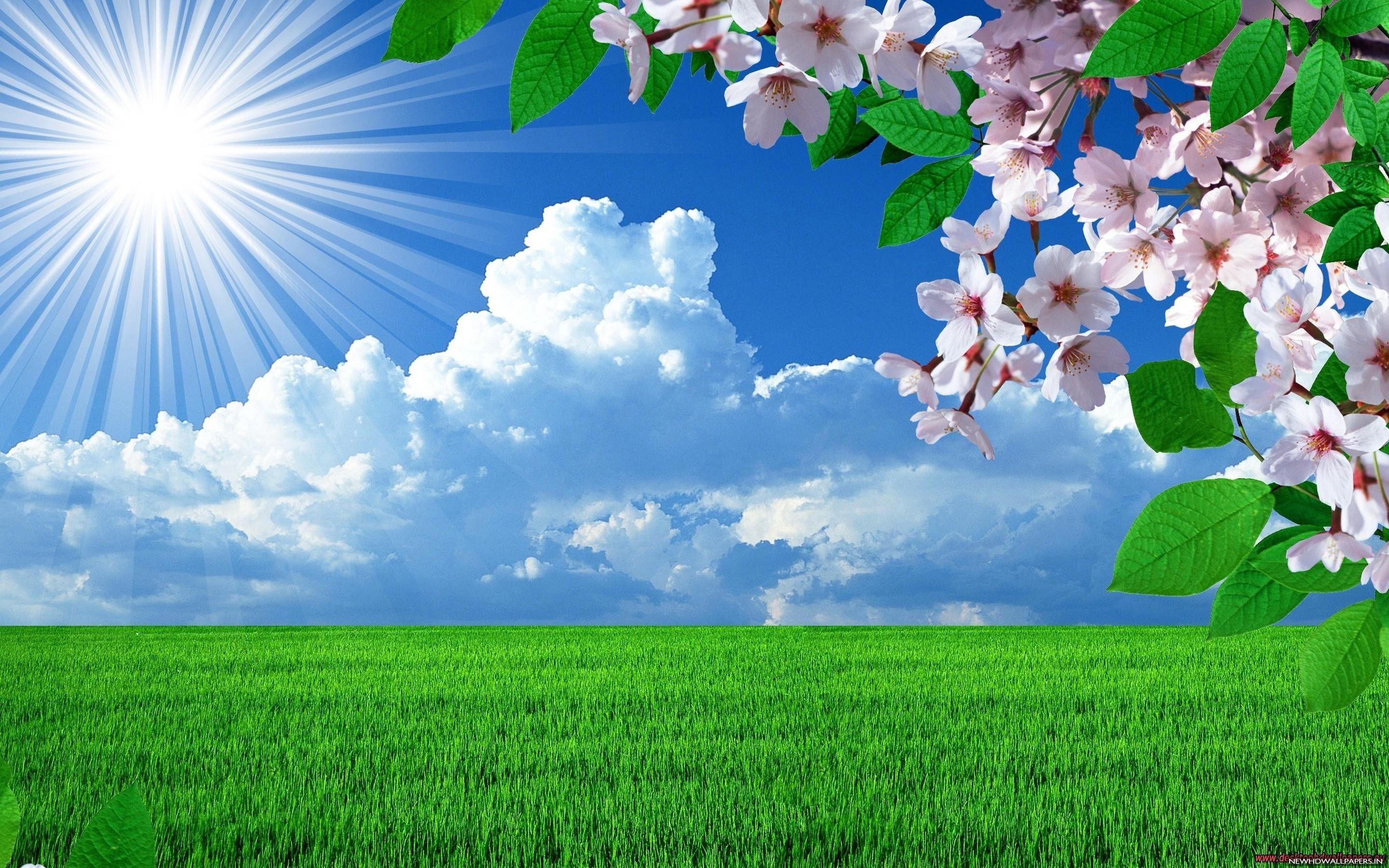 Spring Sunshine Wallpapers - Top Free Spring Sunshine Backgrounds -  WallpaperAccess