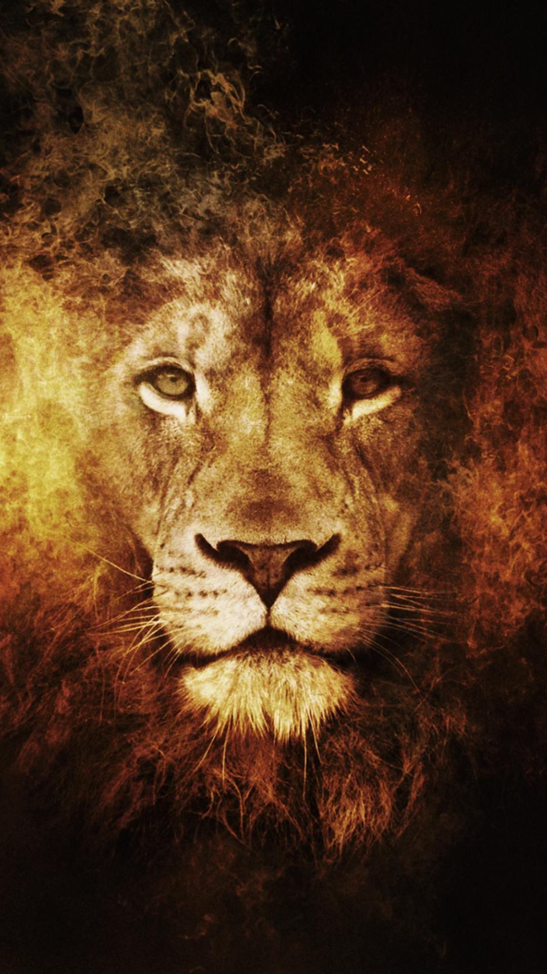 1080x1920 Golden Lion lion in Lion wallpaper Lion art Lion