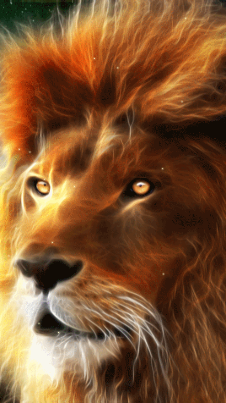 720x1282 majestic lion wallpaper. angry lion wallpaper. badass lion wallpaper. neon lion wallpaper. Lion live wallpaper, Lions live, Lion wallpaper